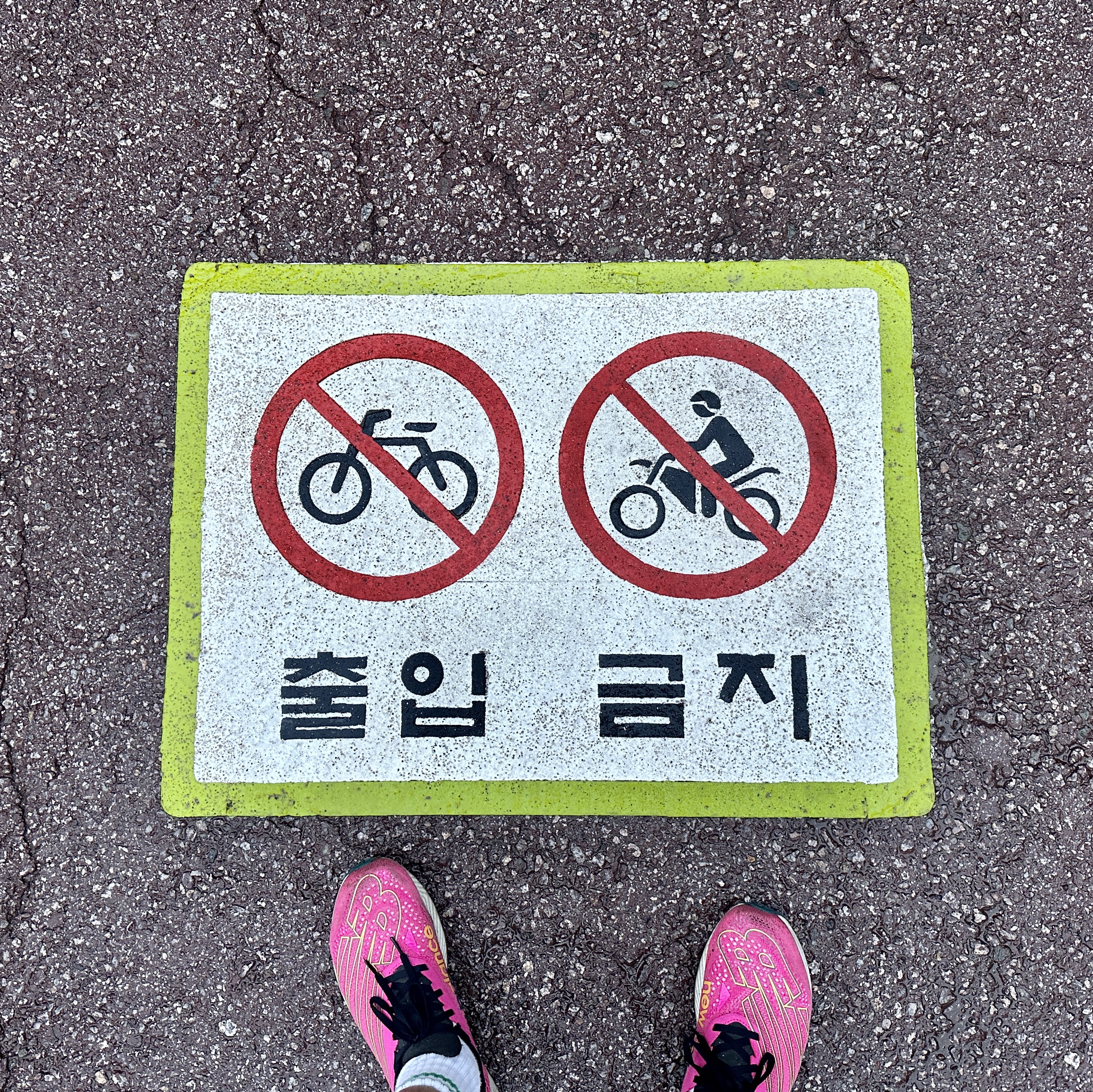 New Balance FuelCell RC Elite v2 Pink - 2E Wide 착용 스타일 - 4