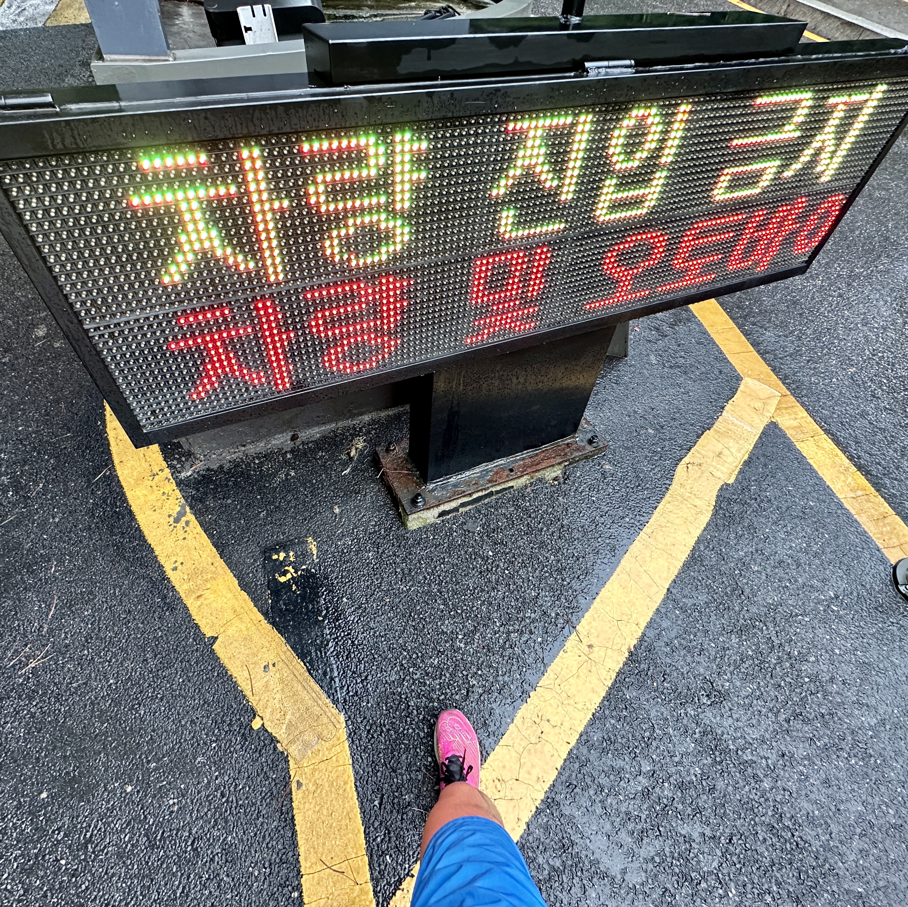 New Balance FuelCell RC Elite v2 Pink - 2E Wide 착용 스타일 - 2