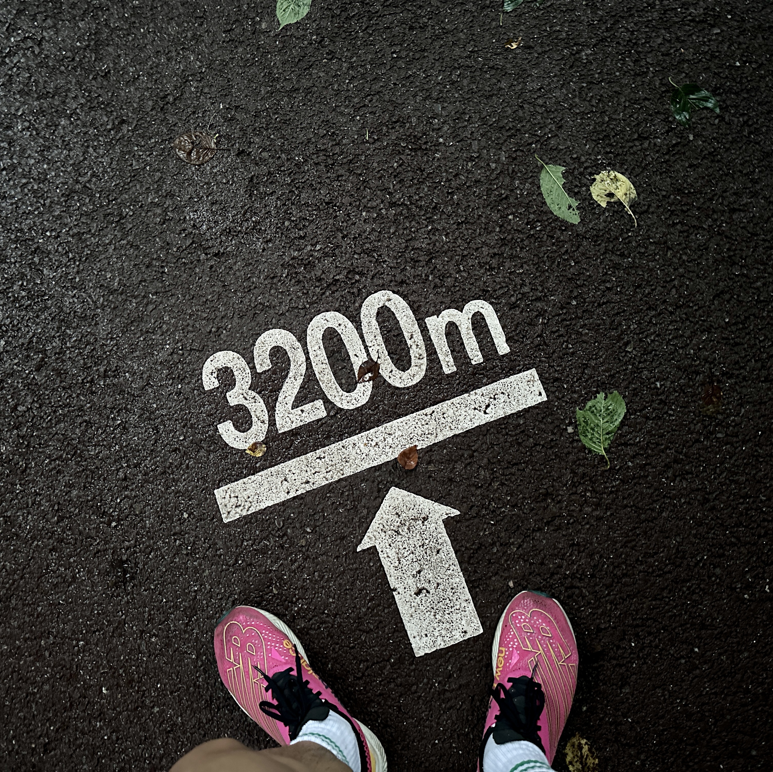 New Balance FuelCell RC Elite v2 Pink - D Standard 착용 스타일 - 5