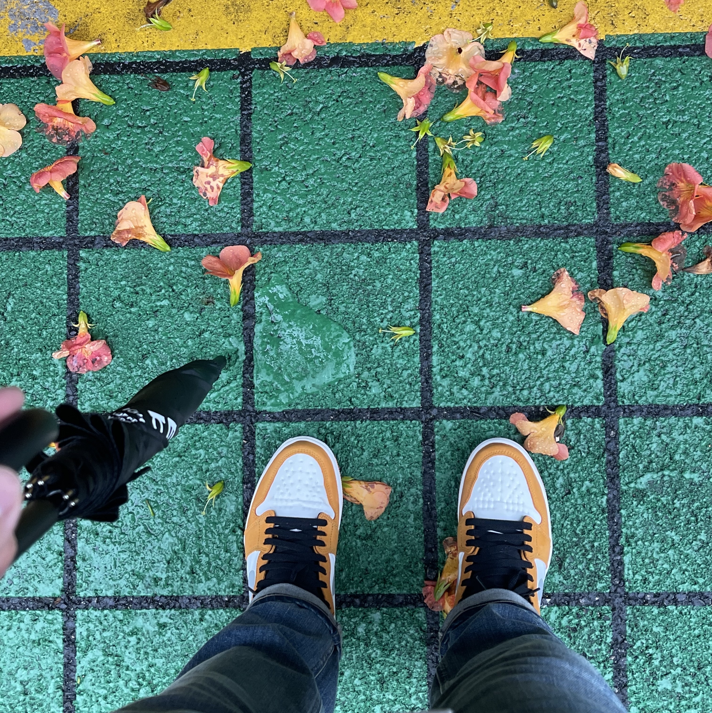 Jordan 1 Element Gore-Tex Light Curry 착용 스타일