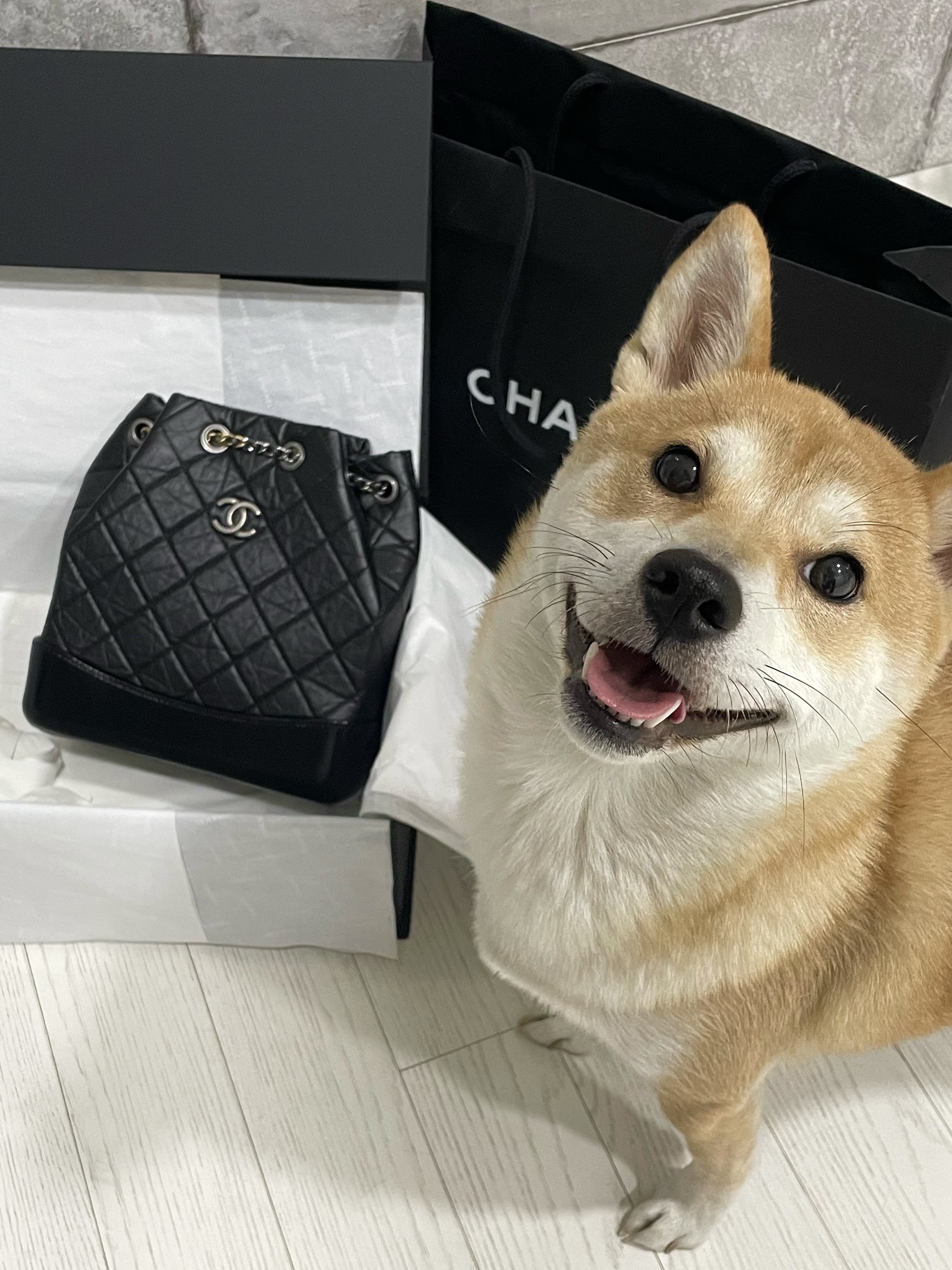 Chanel Small Gabrielle Backpack Aged Calfskin & Gold Silver Black 착용 스타일 - 1