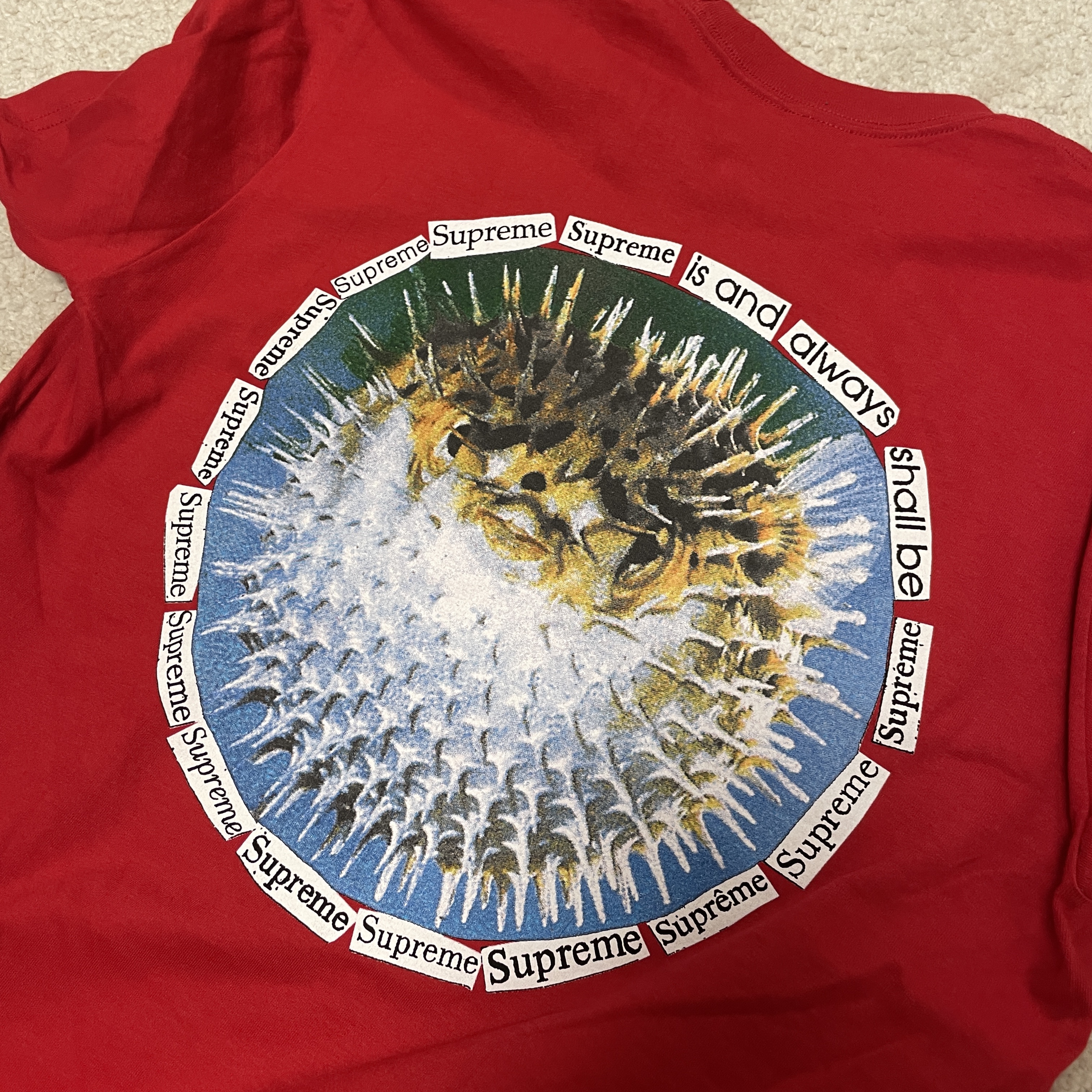 Supreme Blowfish T-Shirt Red - 23SS 착용 스타일 - 1