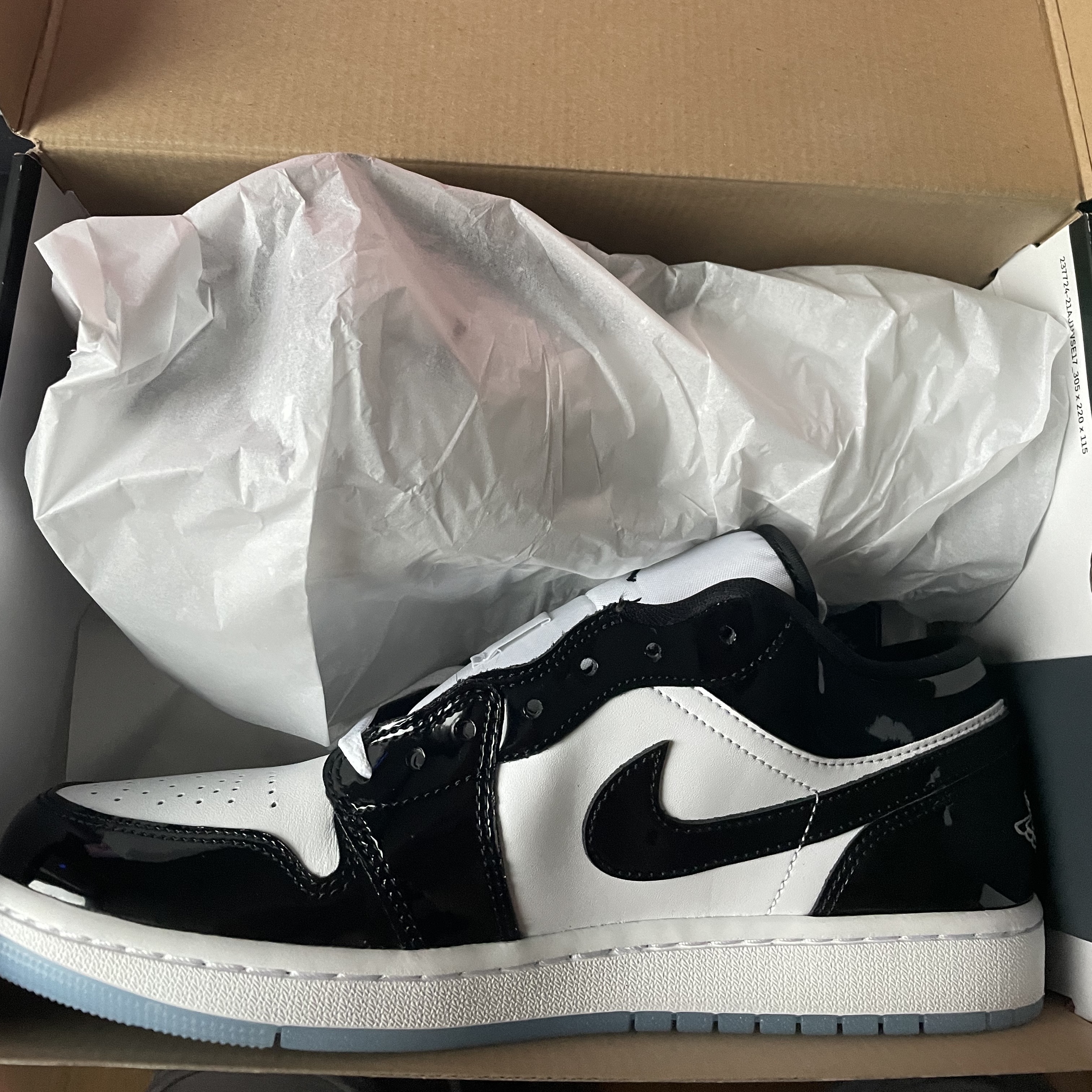 Jordan 1 Low SE Concord 착용 스타일