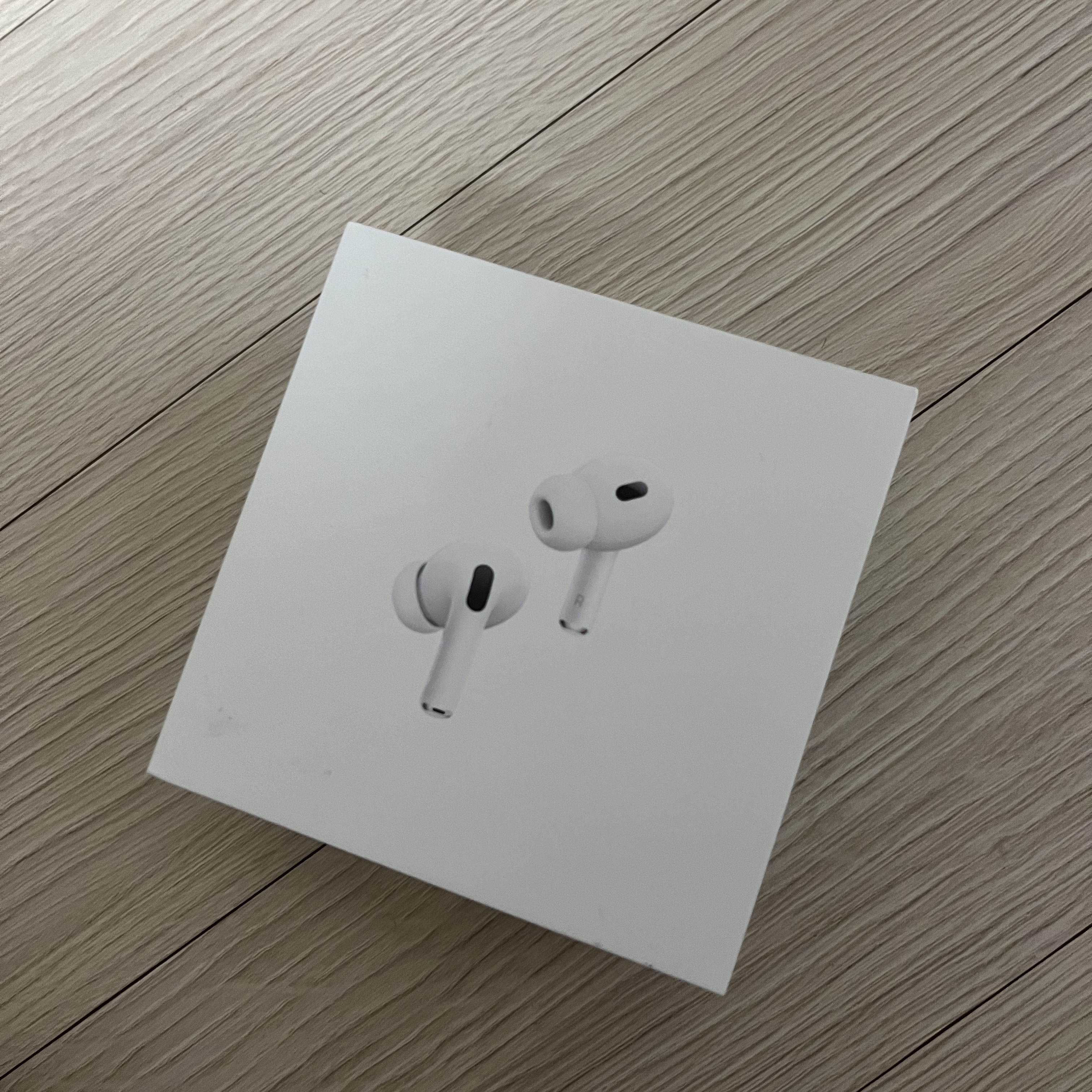 Apple AirPods Pro 2nd Gen (Korean Ver.) 착용 스타일