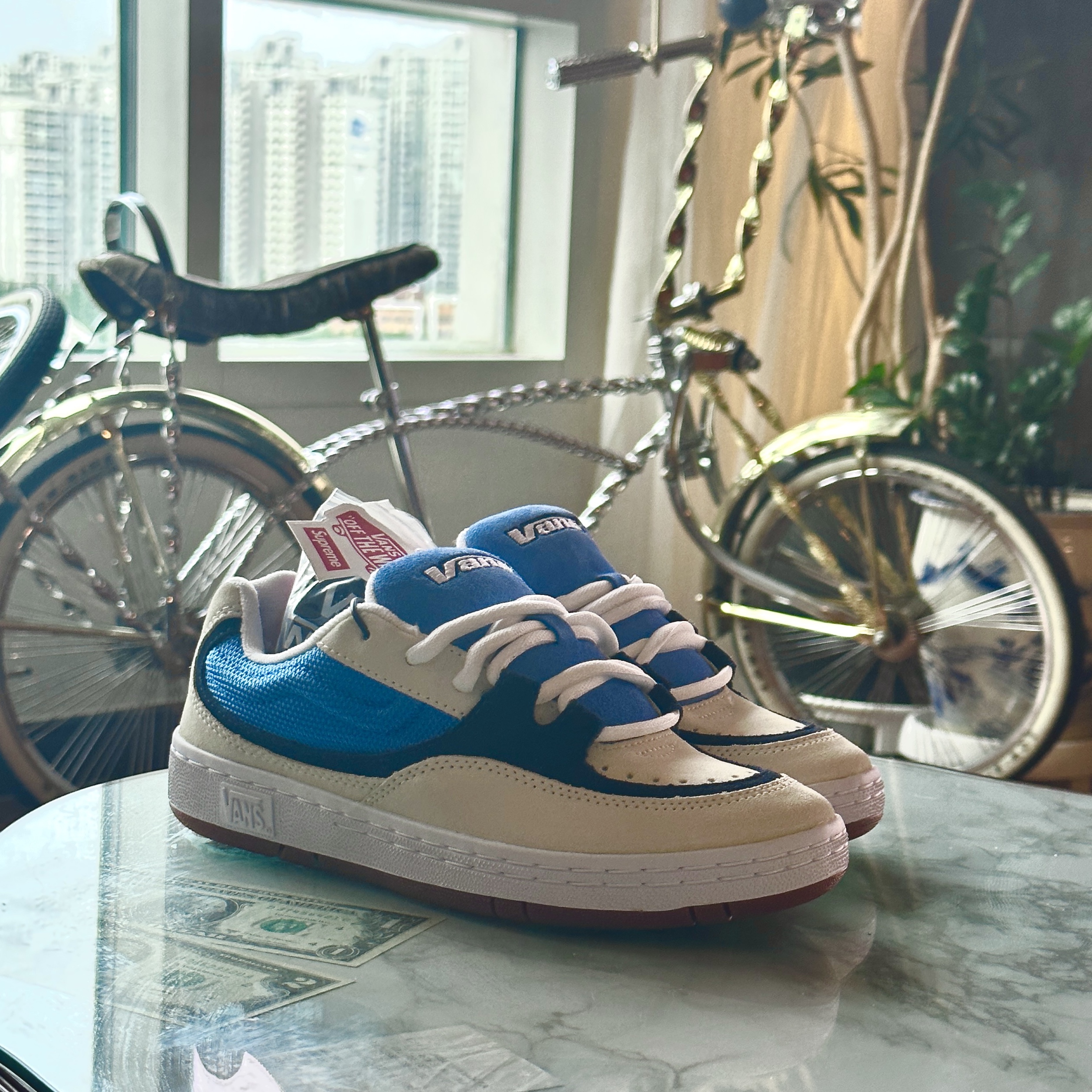 Vans x Supreme Speed Blue 착용 스타일