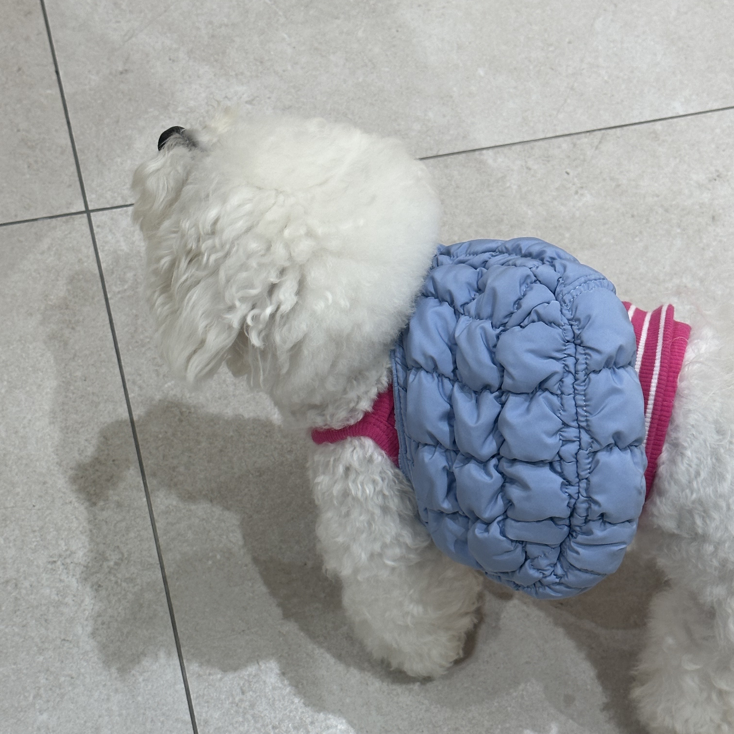 COS Quilted Micro Bag Blue 착용 스타일