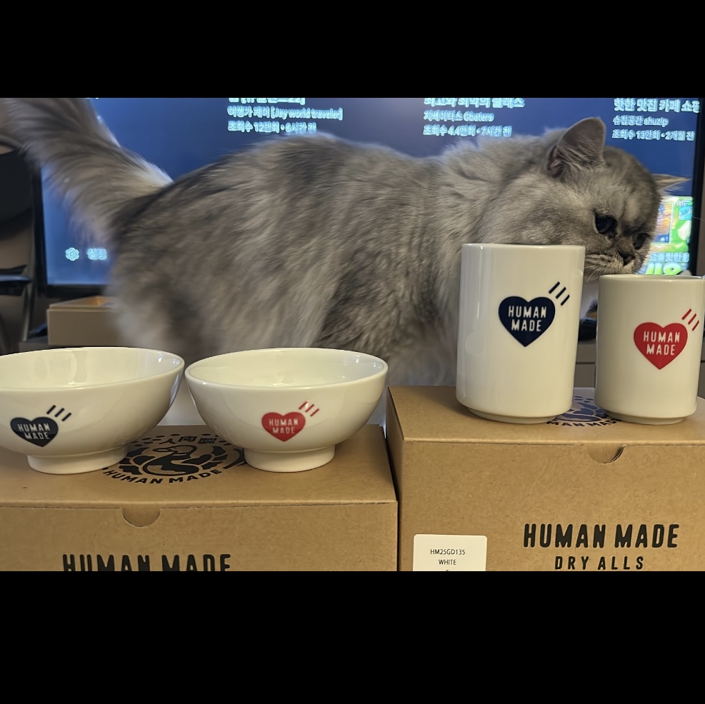 Human Made Matching Rice Bowls White (Set of 2), Human Made Matching Tea Cups White (Set of 2) 착용 스타일
