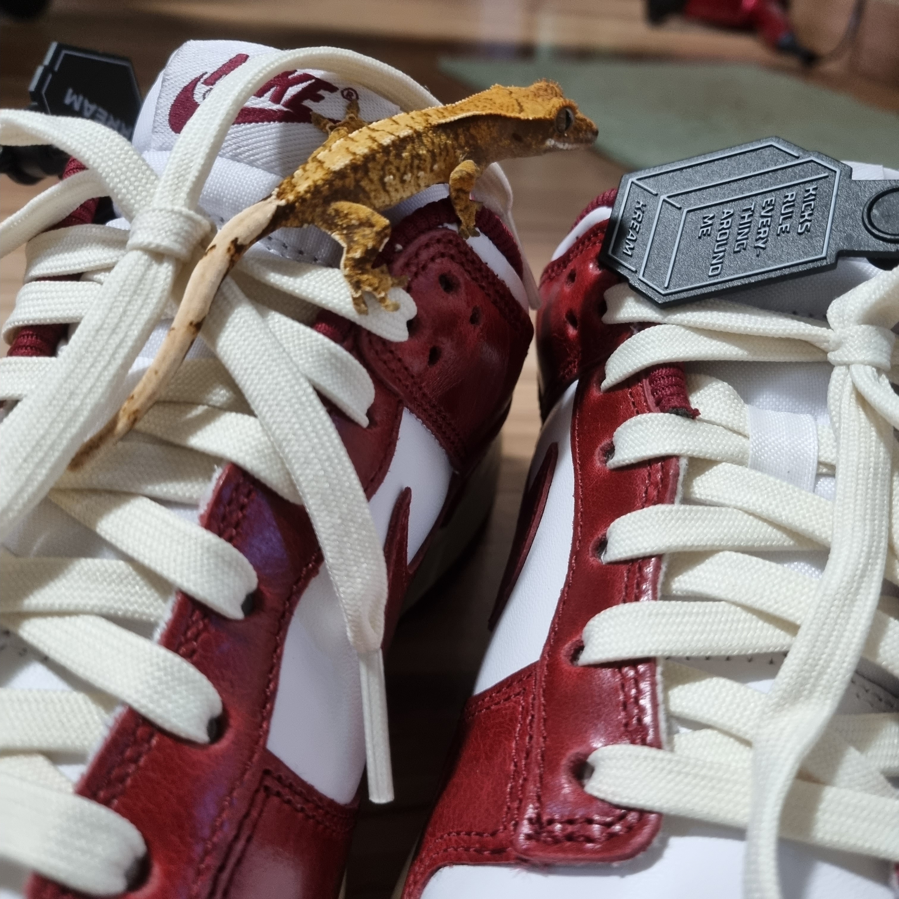 (W) Nike Dunk Low Retro PRM Team Red and White 착용 스타일 - 4