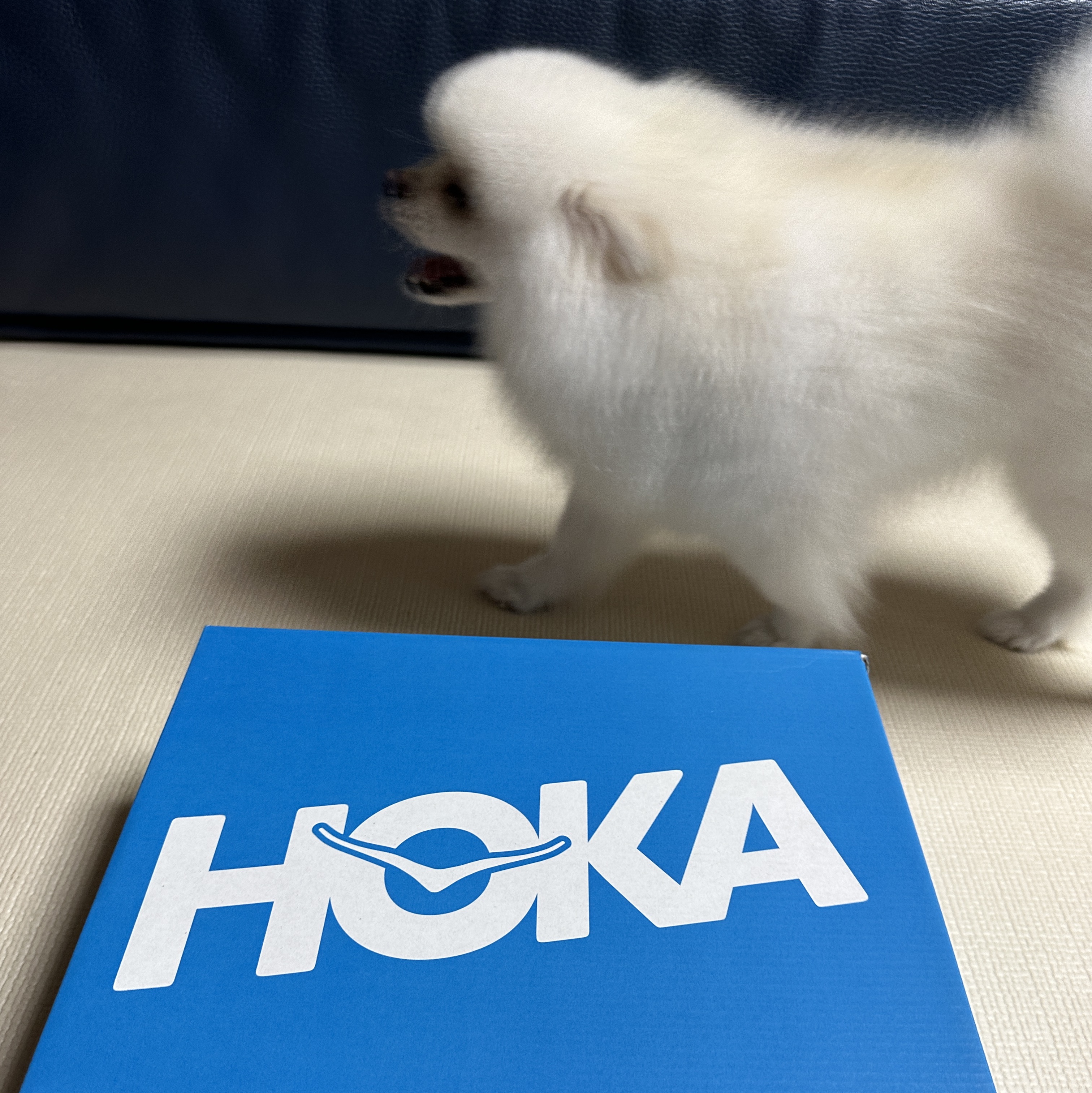 Hoka Kaha 2 Gore-Tex Black 착용 스타일 - 2