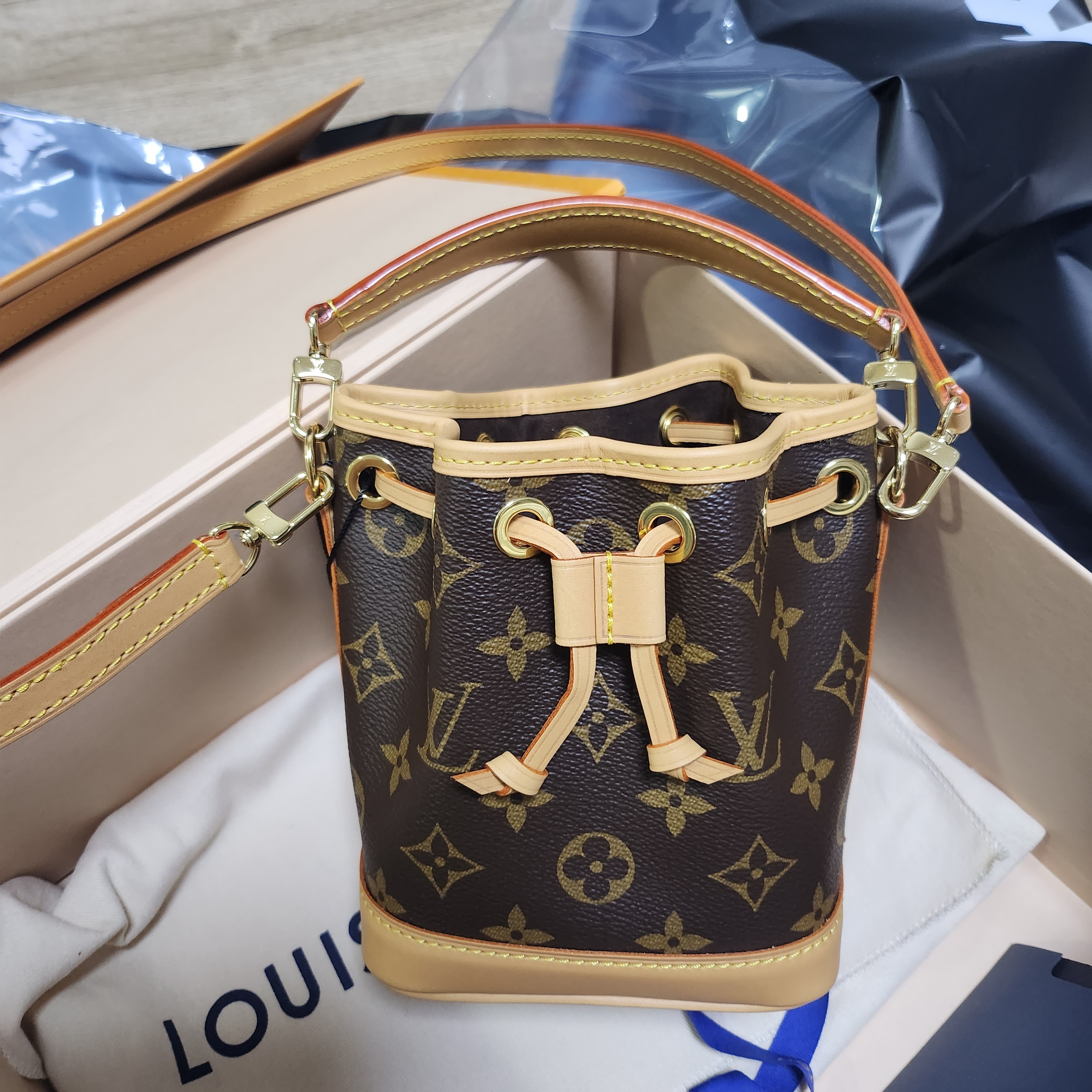 Louis Vuitton Nano Noe Monogram 착용 스타일