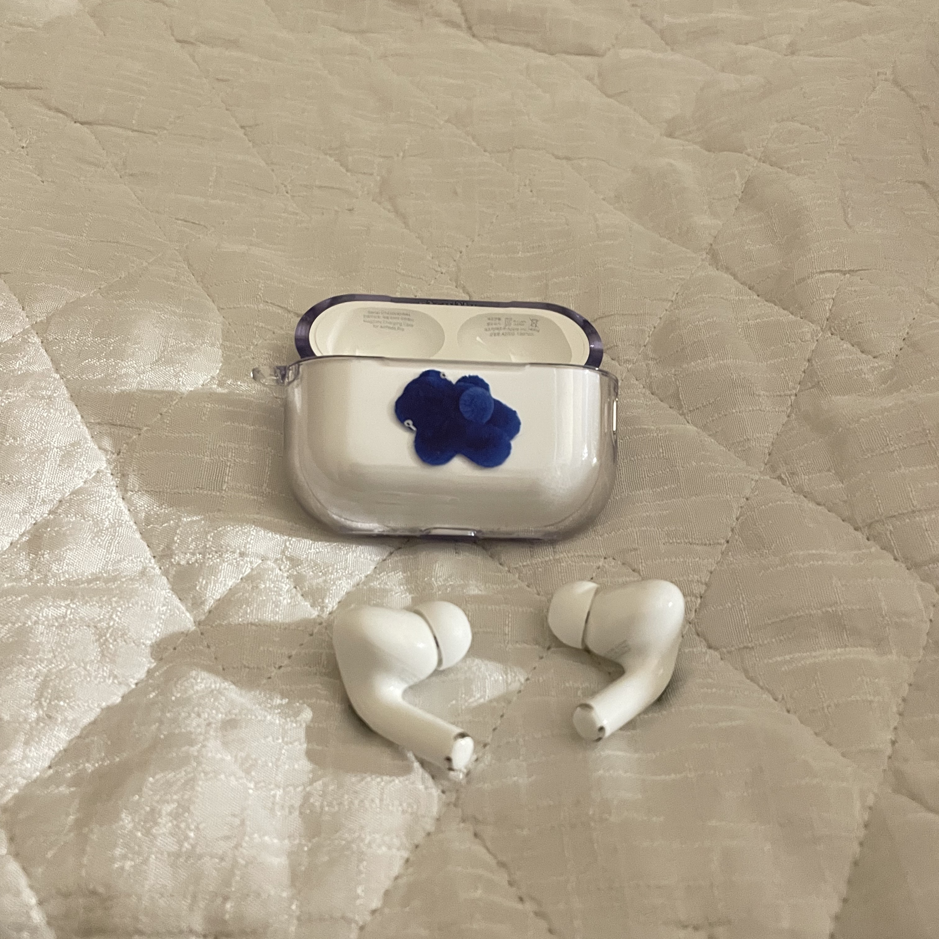Apple AirPods Pro 2nd Gen (Korean Ver.) 착용 스타일