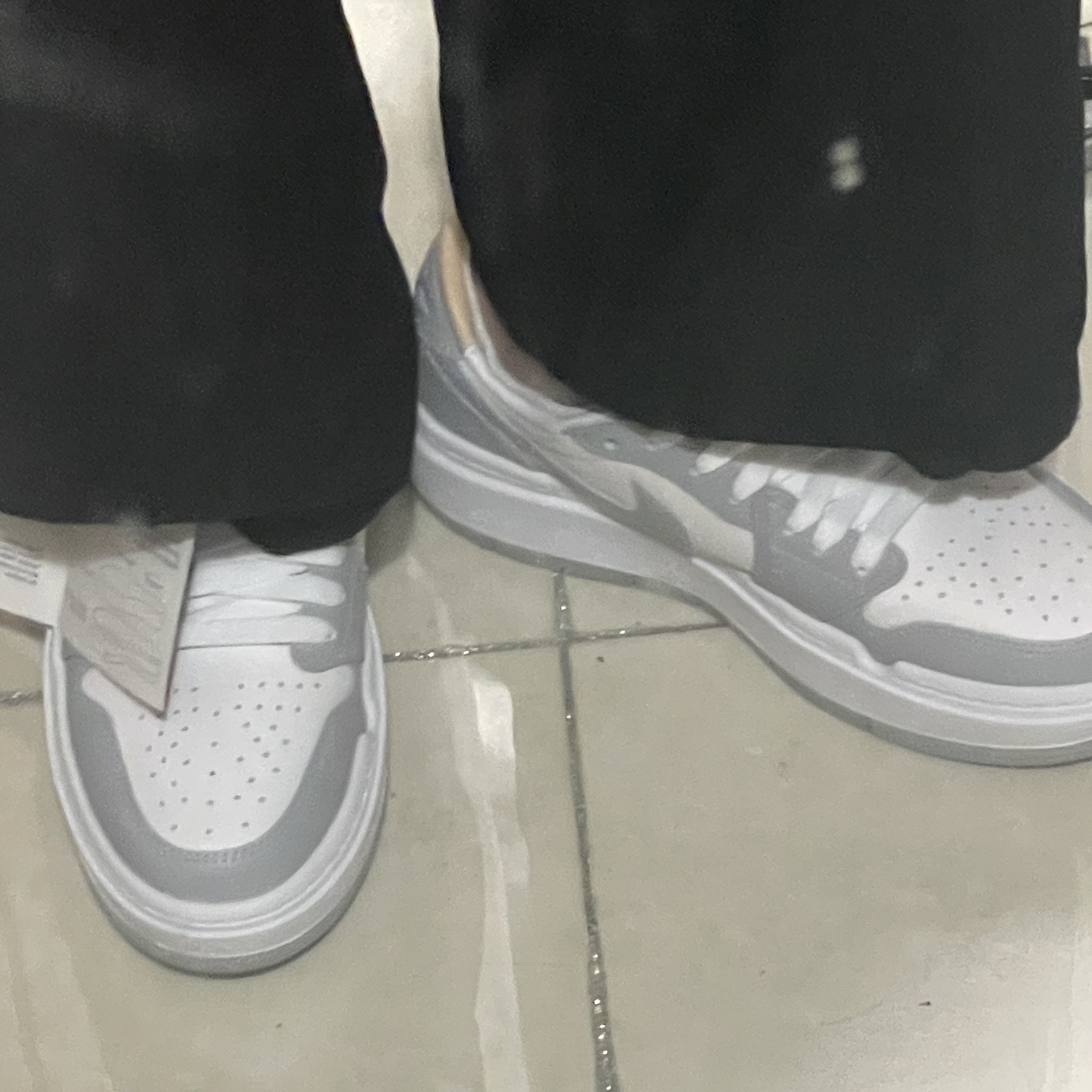 (W) Jordan 1 Elevate Low White and Wolf Grey 착용 스타일