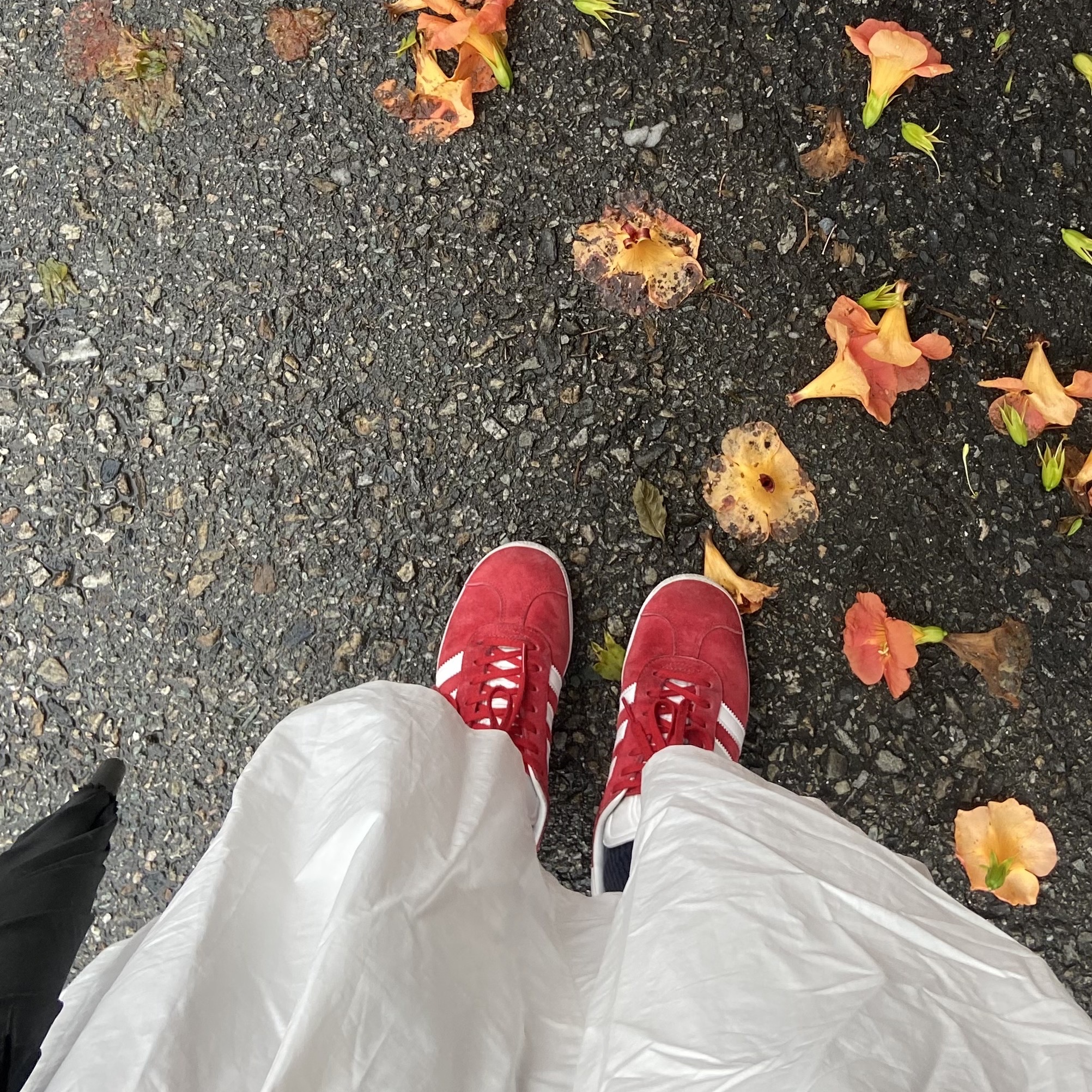 Adidas Gazelle Power Red 착용 스타일