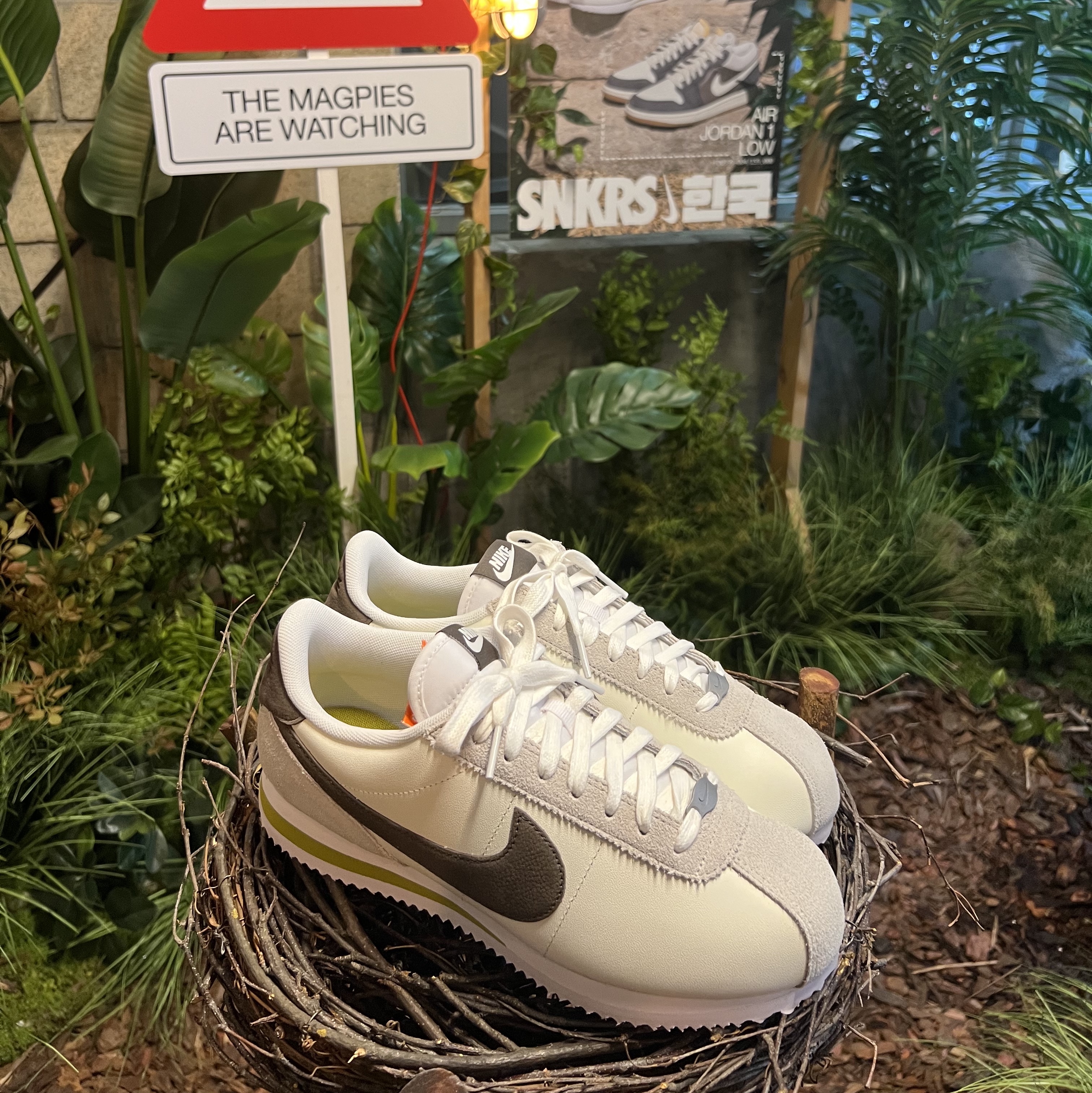 Jordan 1 Low Kkachi, (W) Nike Cortez 23 Kkachi 착용 스타일 - 4