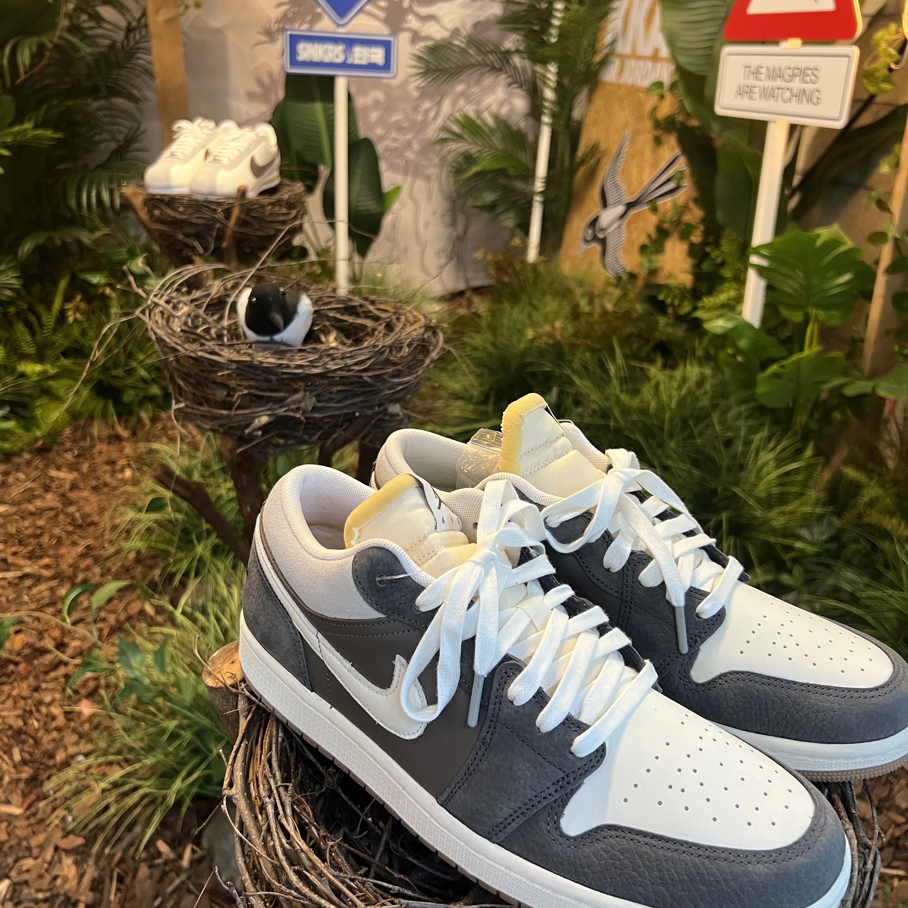 Jordan 1 Low Kkachi, (W) Nike Cortez 23 Kkachi 착용 스타일 - 2