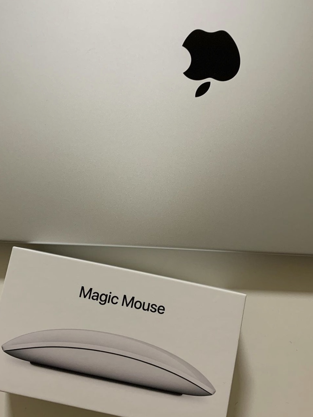 Apple Magic Mouse Multi-Touch Surface Black (Korean Ver.) 착용 스타일