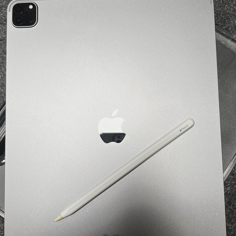 Apple Pencil 2nd Gen 착용 스타일