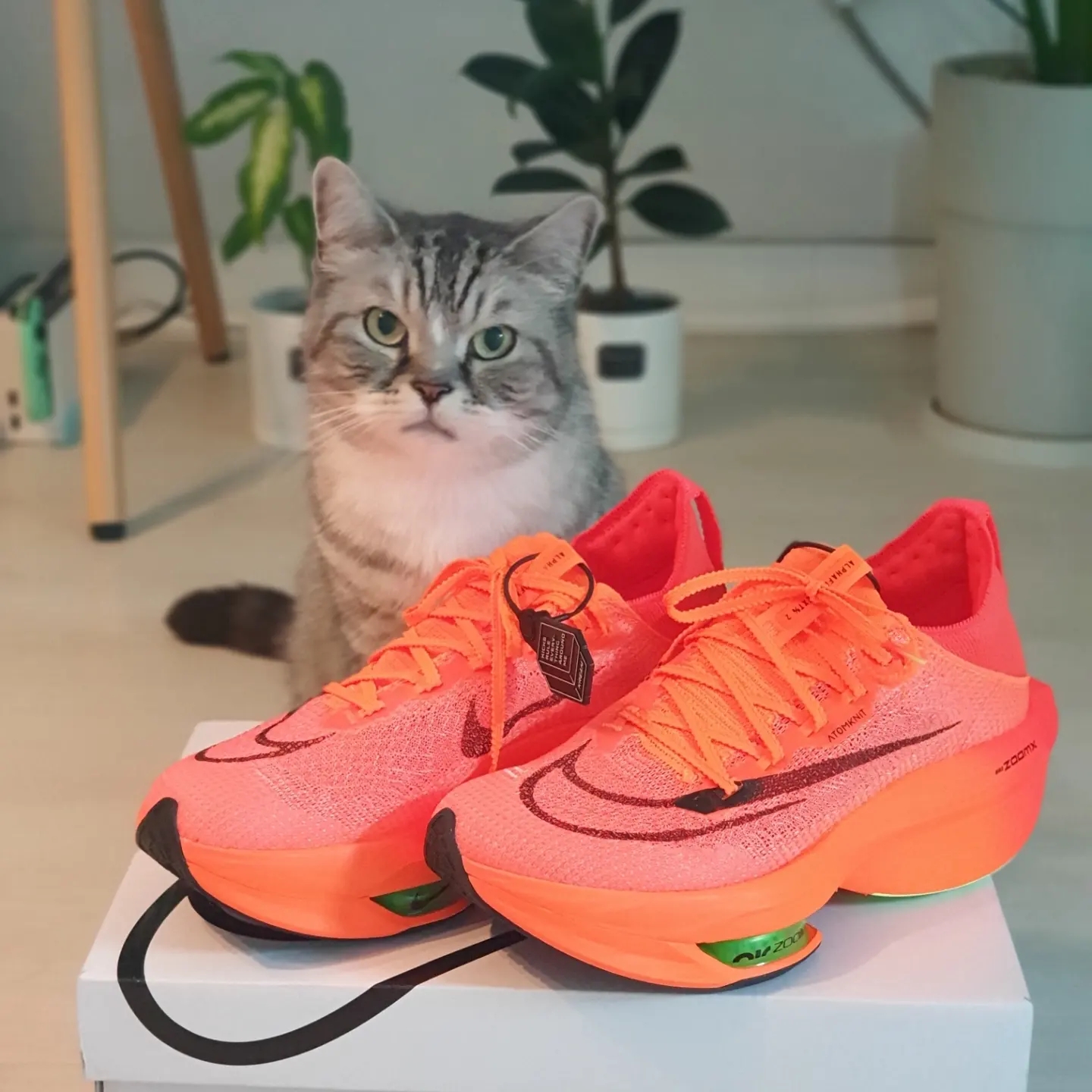 Nike Air Zoom Alphafly Next% 2 Total Orange 착용 스타일