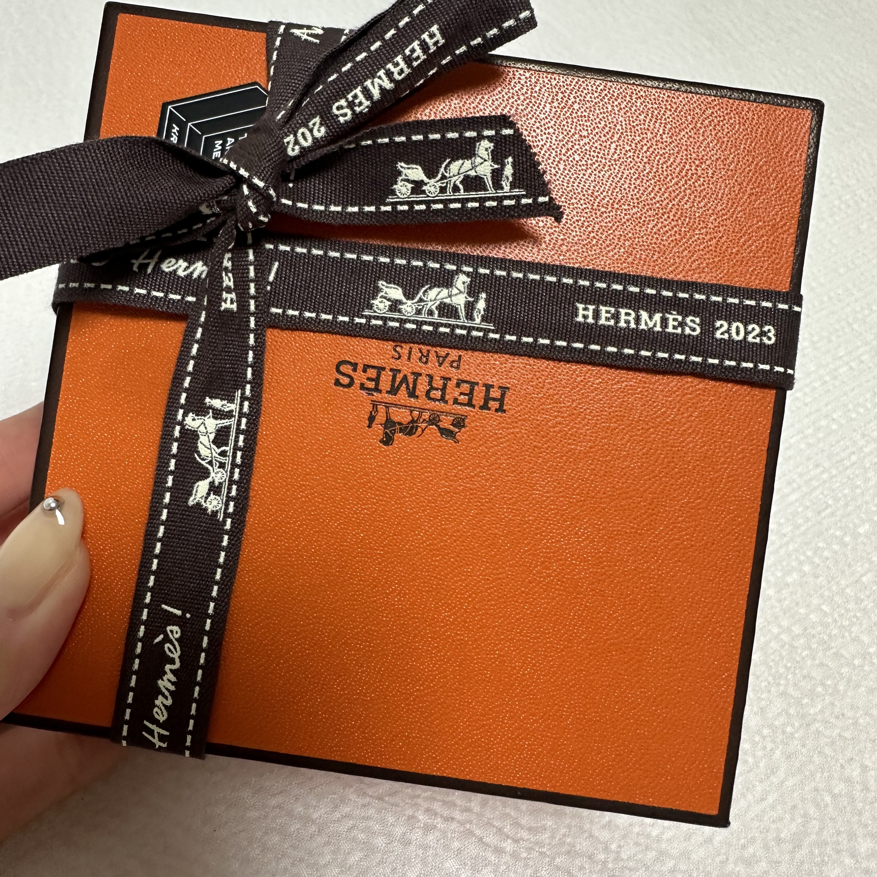 (W) Hermes Chaine D'Ancre Pendant Sterling Silver 착용 스타일 - 1