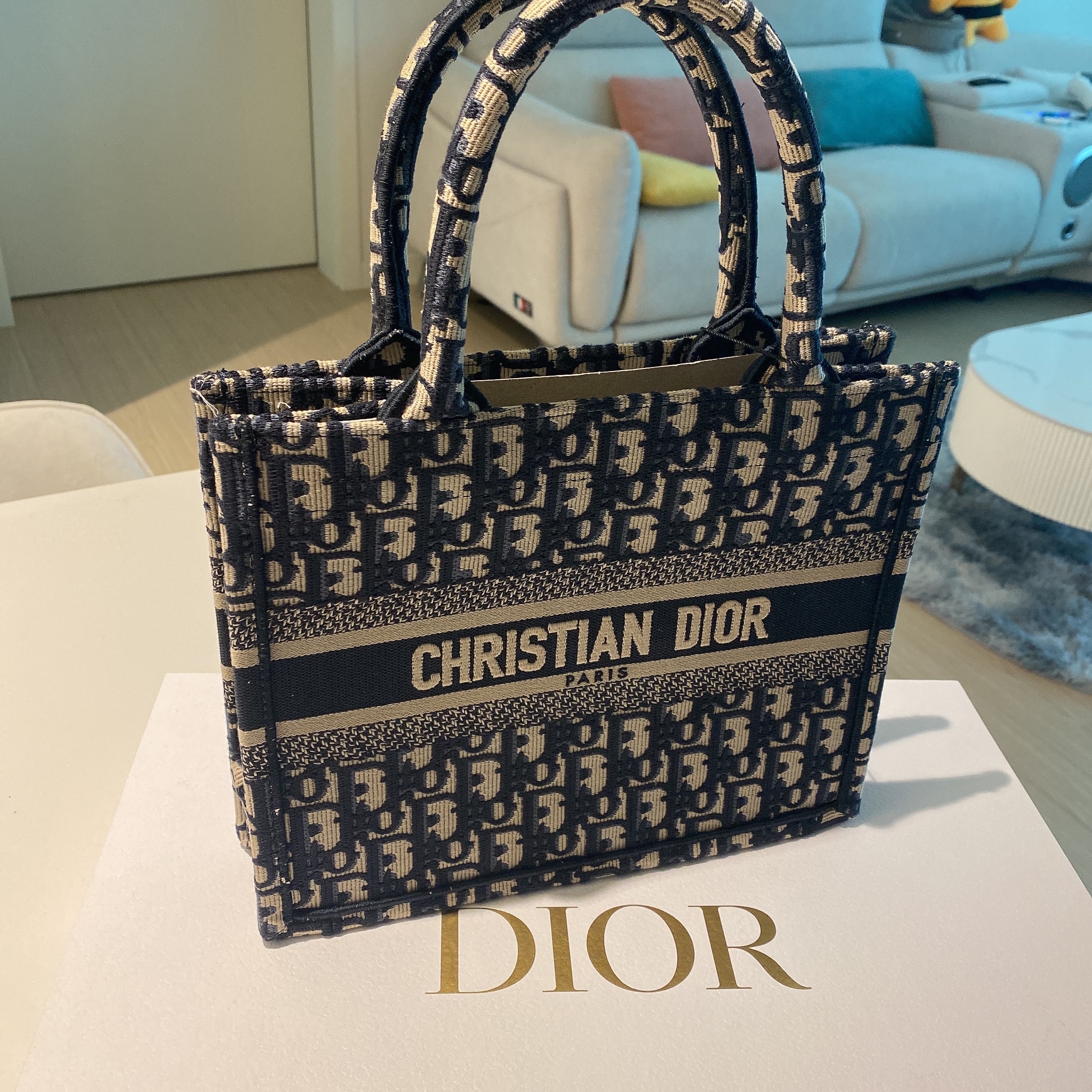 Dior Small Book Tote Blue Dior Oblique Embroidery 착용 스타일