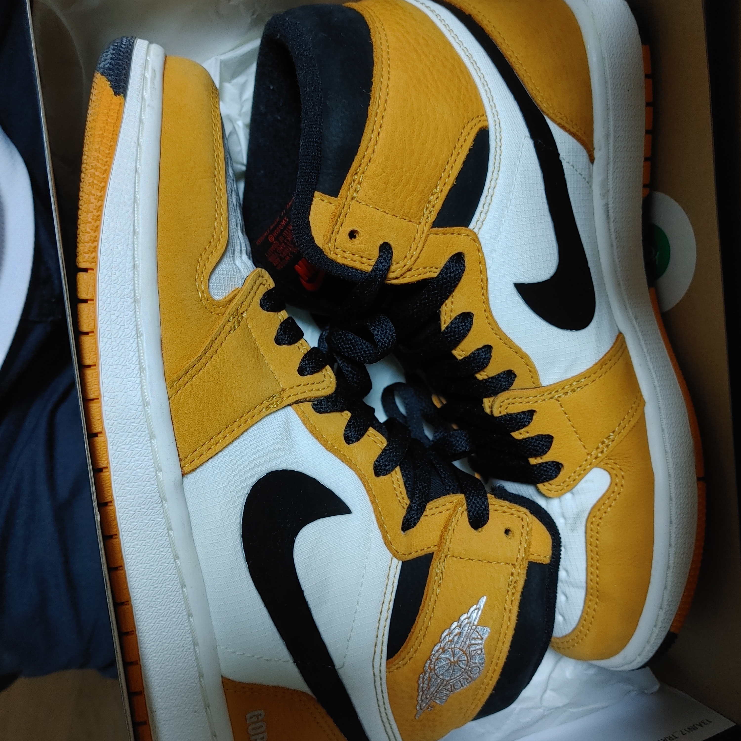 Jordan 1 Element Gore-Tex Light Curry 착용 스타일