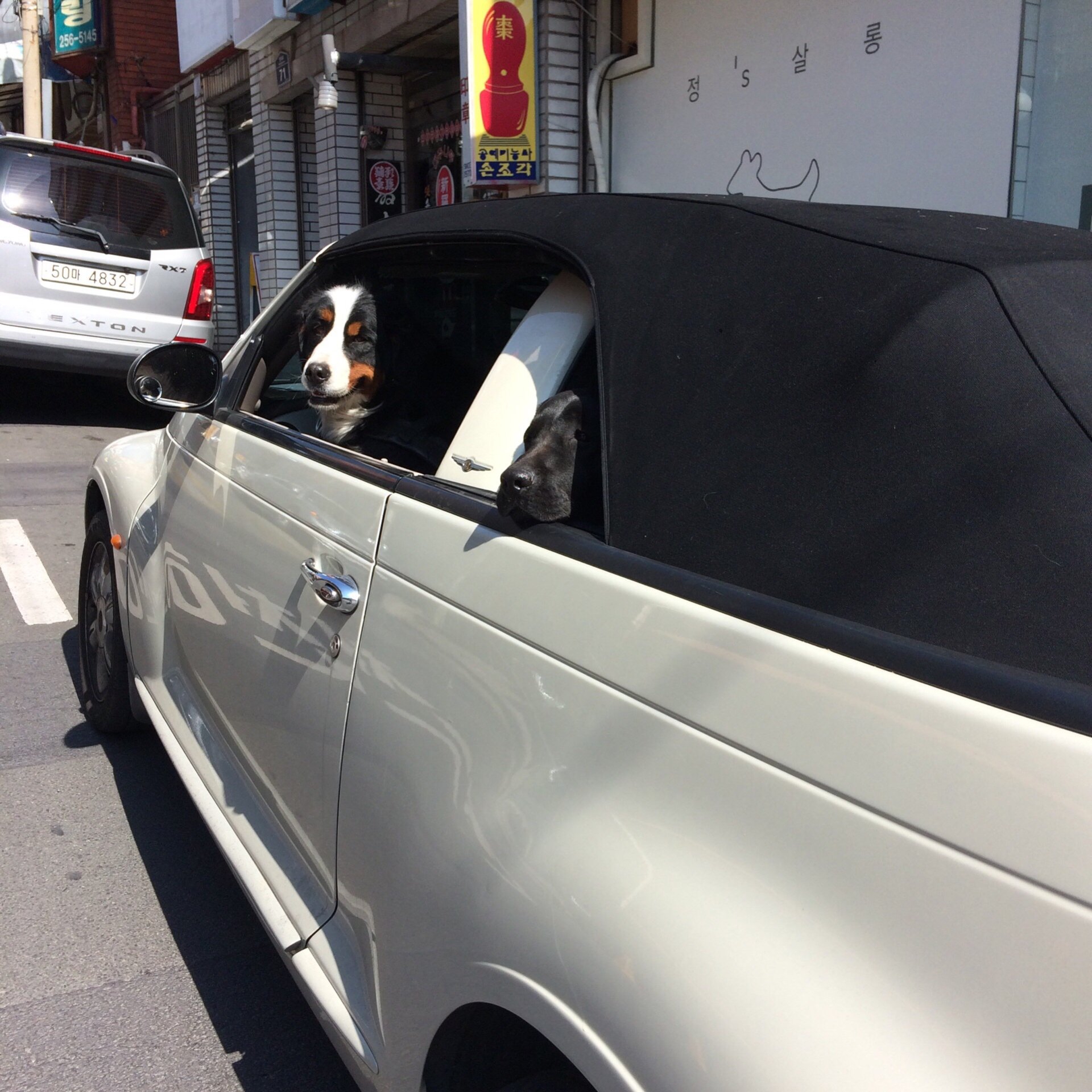 Off-White x Amore Pacific Protection Box (Without Cosmetics) 착용 스타일 - 3