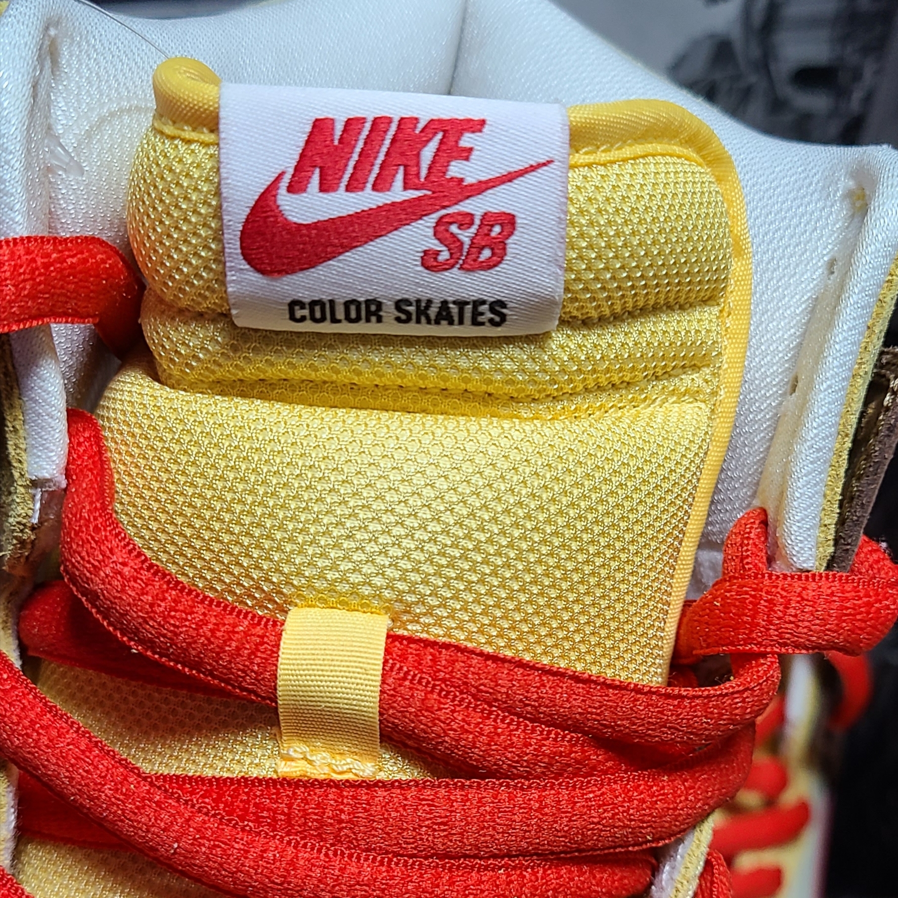 Nike x Color Skates SB Dunk High Pro Kebab and Destroy 착용 스타일 - 3