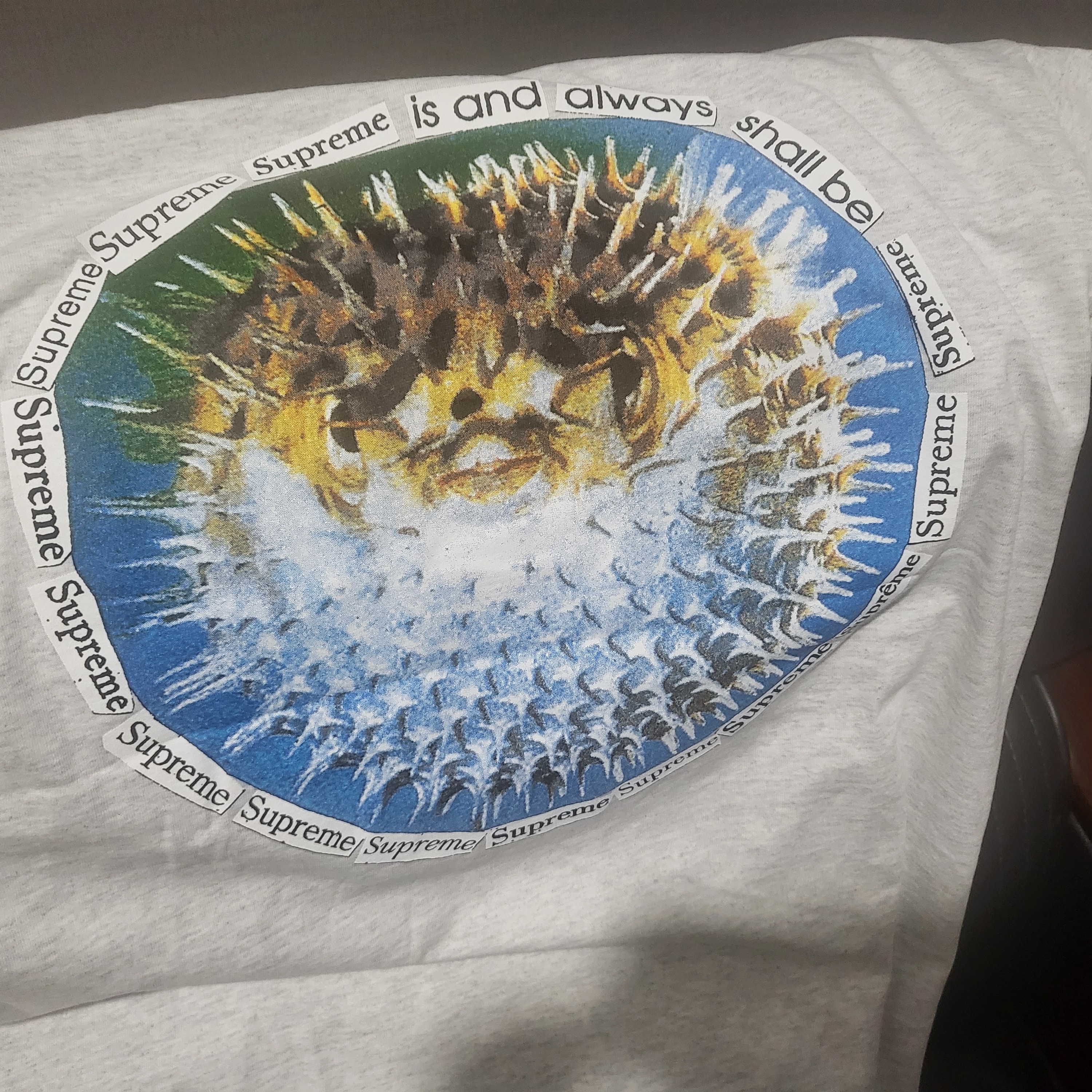 Supreme Blowfish T-Shirt Ash Grey - 23SS 착용 스타일 - 3