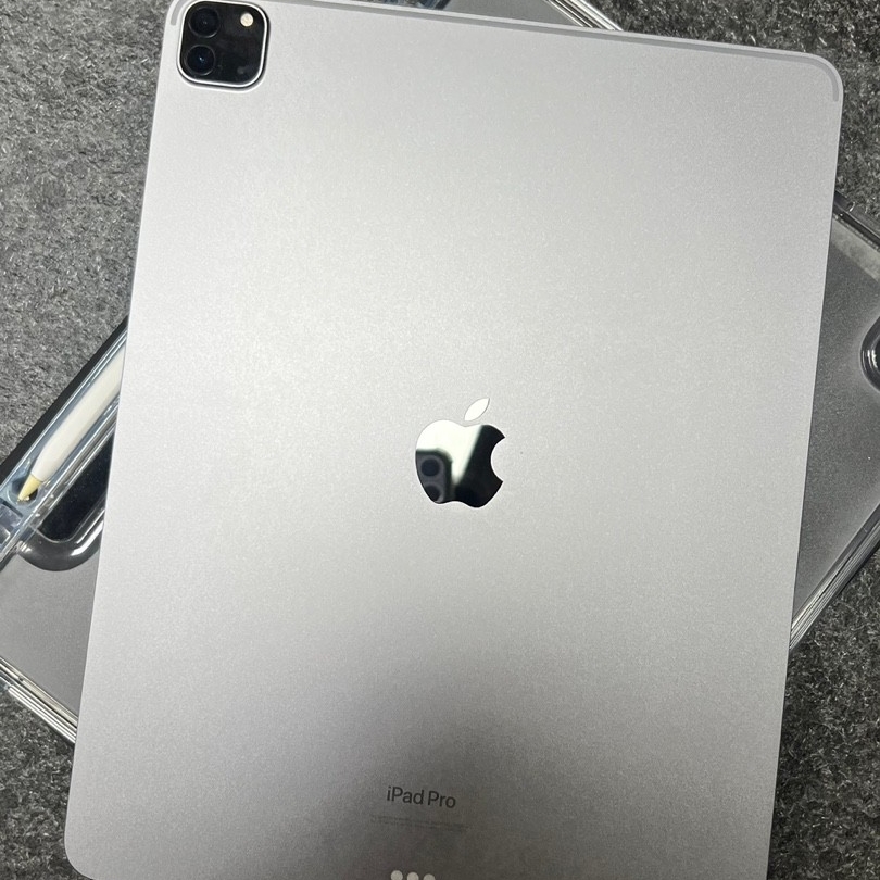Apple iPad Pro 6th Gen 12.9-inch Wifi 128GB Space Gray (Korean Ver.) 착용 스타일