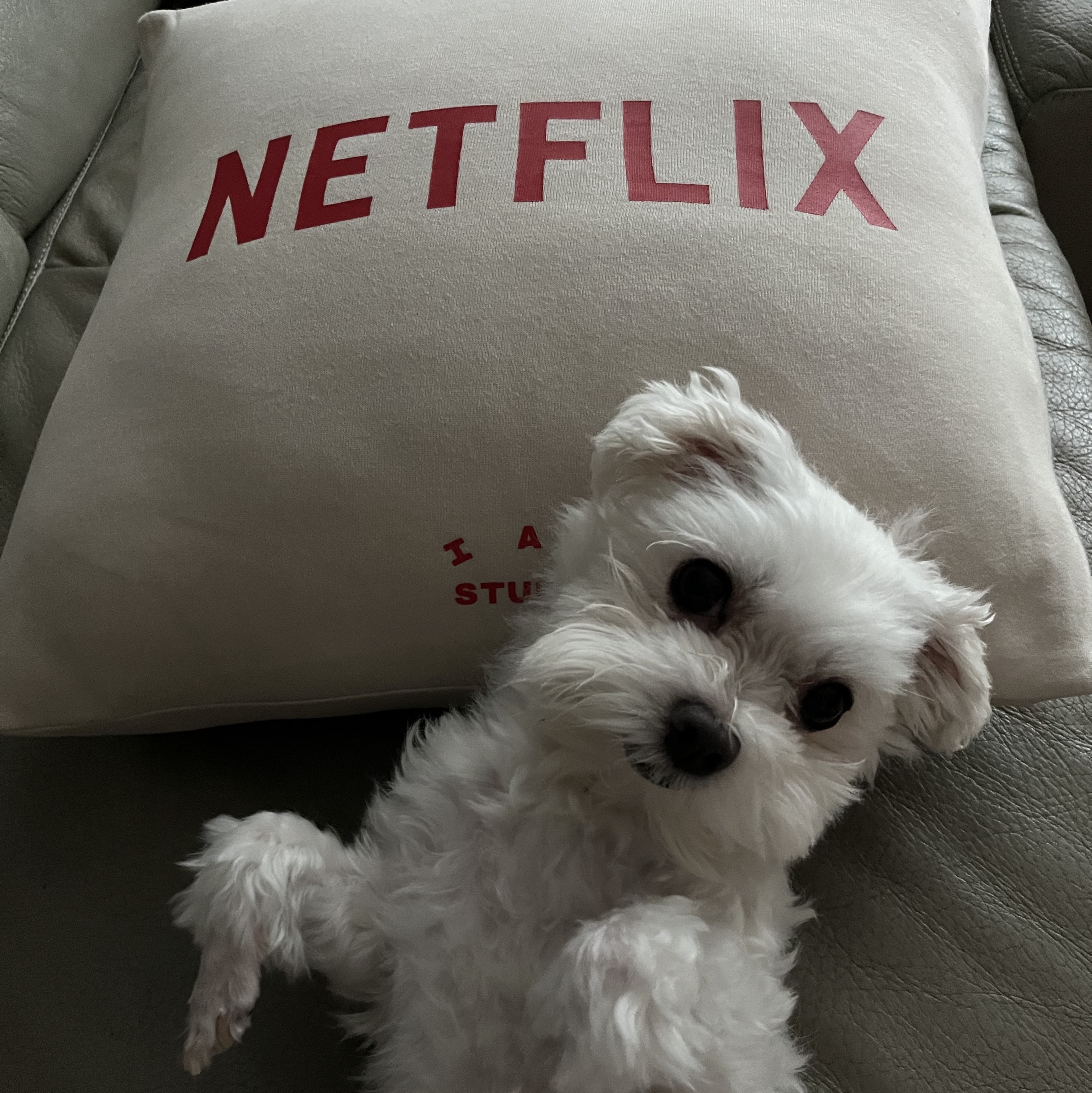 IAB Studio x Netflix Milk Glass White, IAB Studio x Netflix Pajama Cushion Cover Set Oatmeal 착용 스타일 - 2