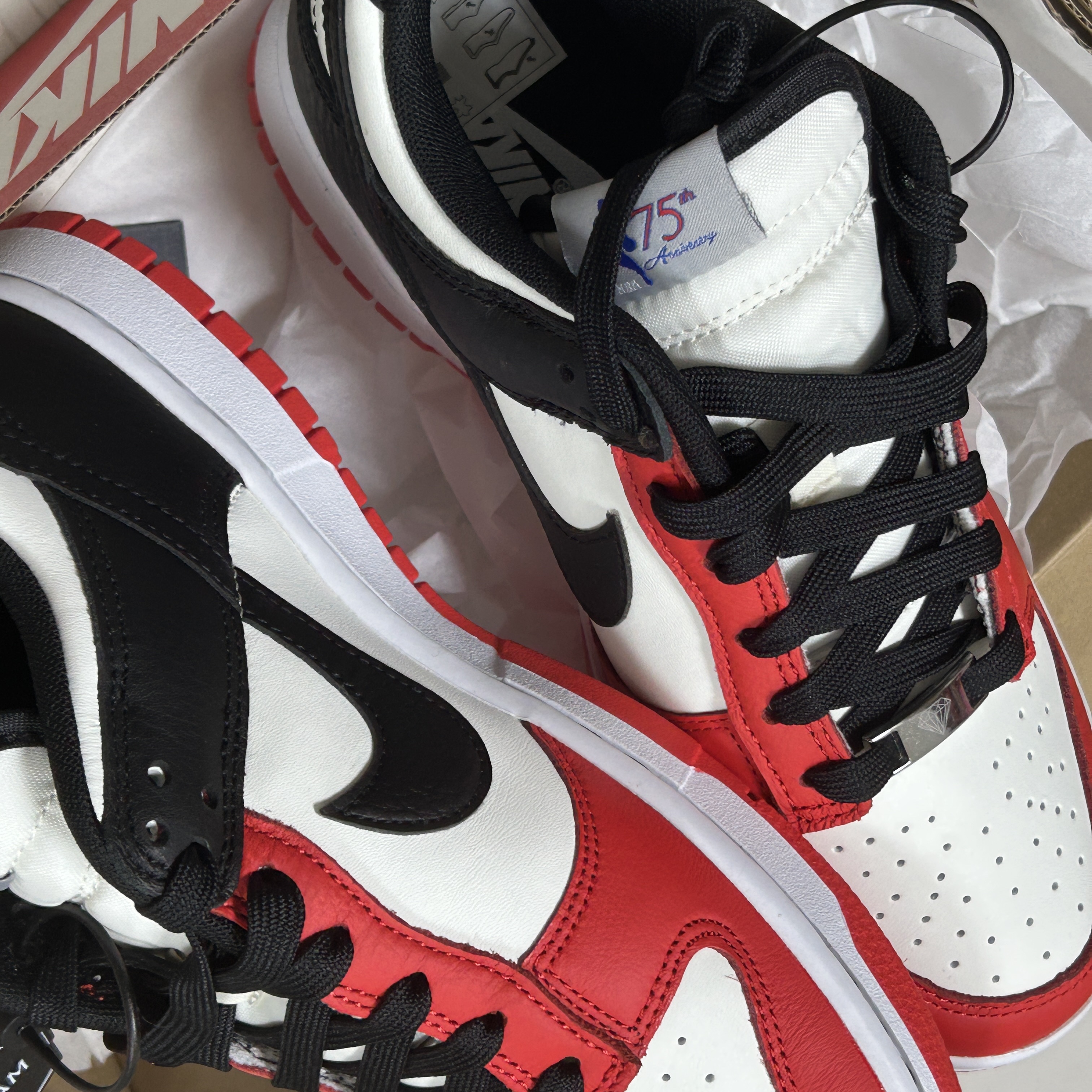 Nike x NBA Dunk Low Retro EMB Black and Chile Red 착용 스타일