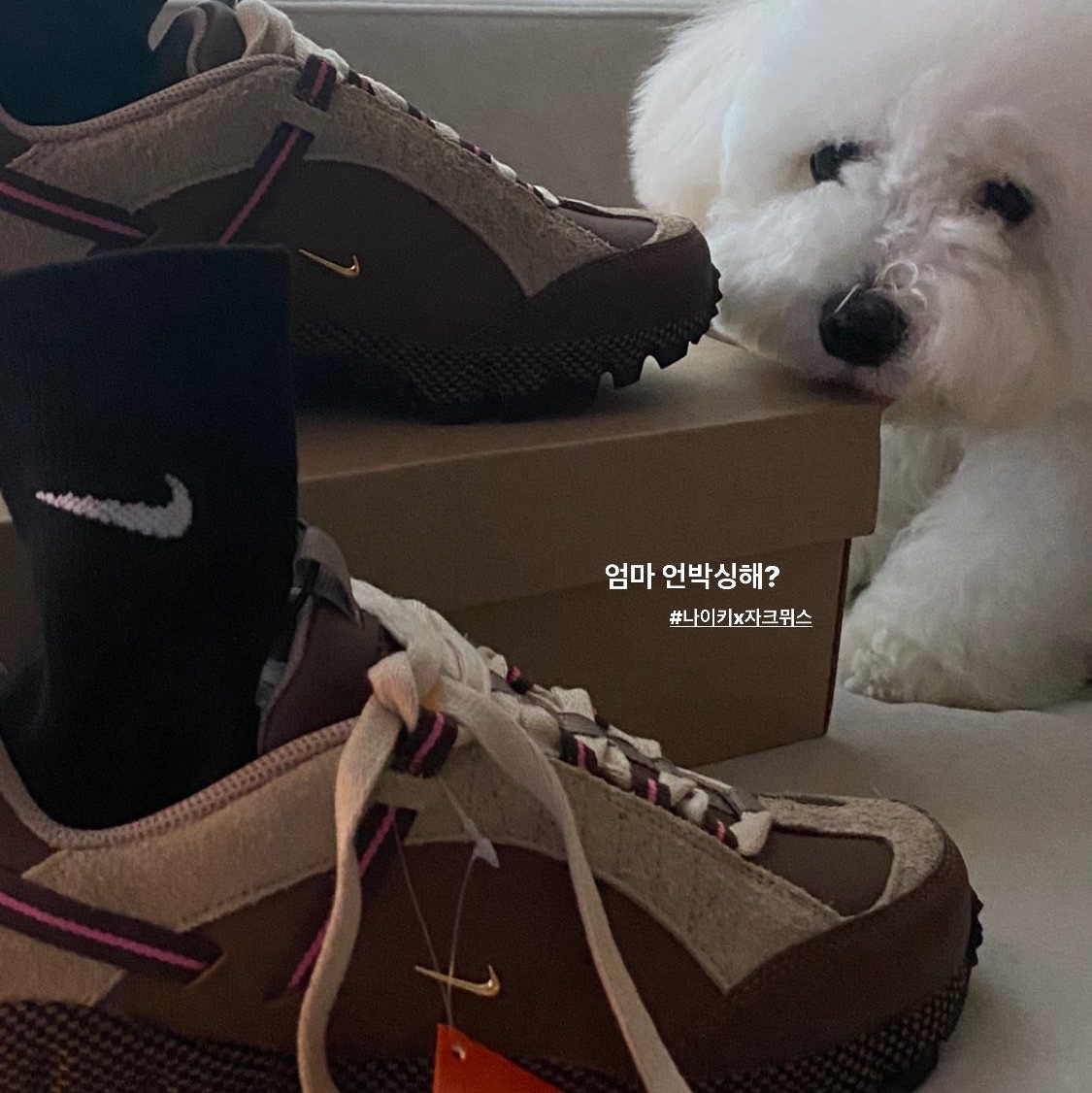 Nike x Jacquemus Air Humara LX Ale Brown and Gold 착용 스타일