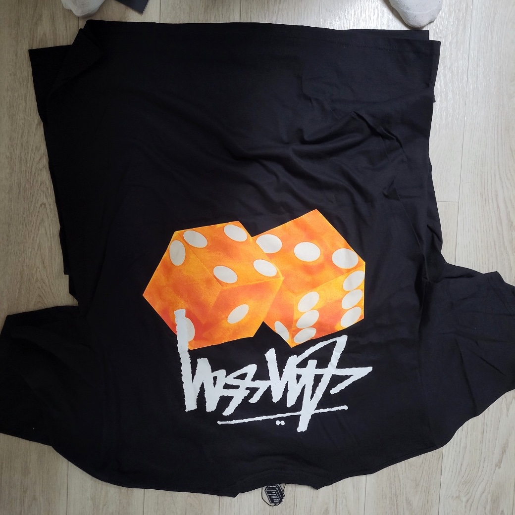 Stussy Diced Out T-Shirt Black 착용 스타일