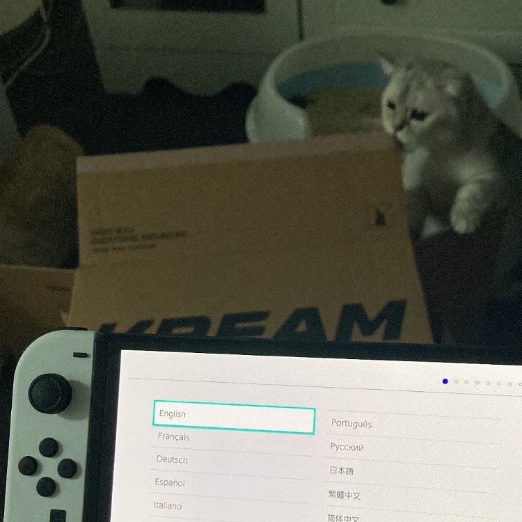 Nintendo Switch OLED White (Korean Ver.) 착용 스타일