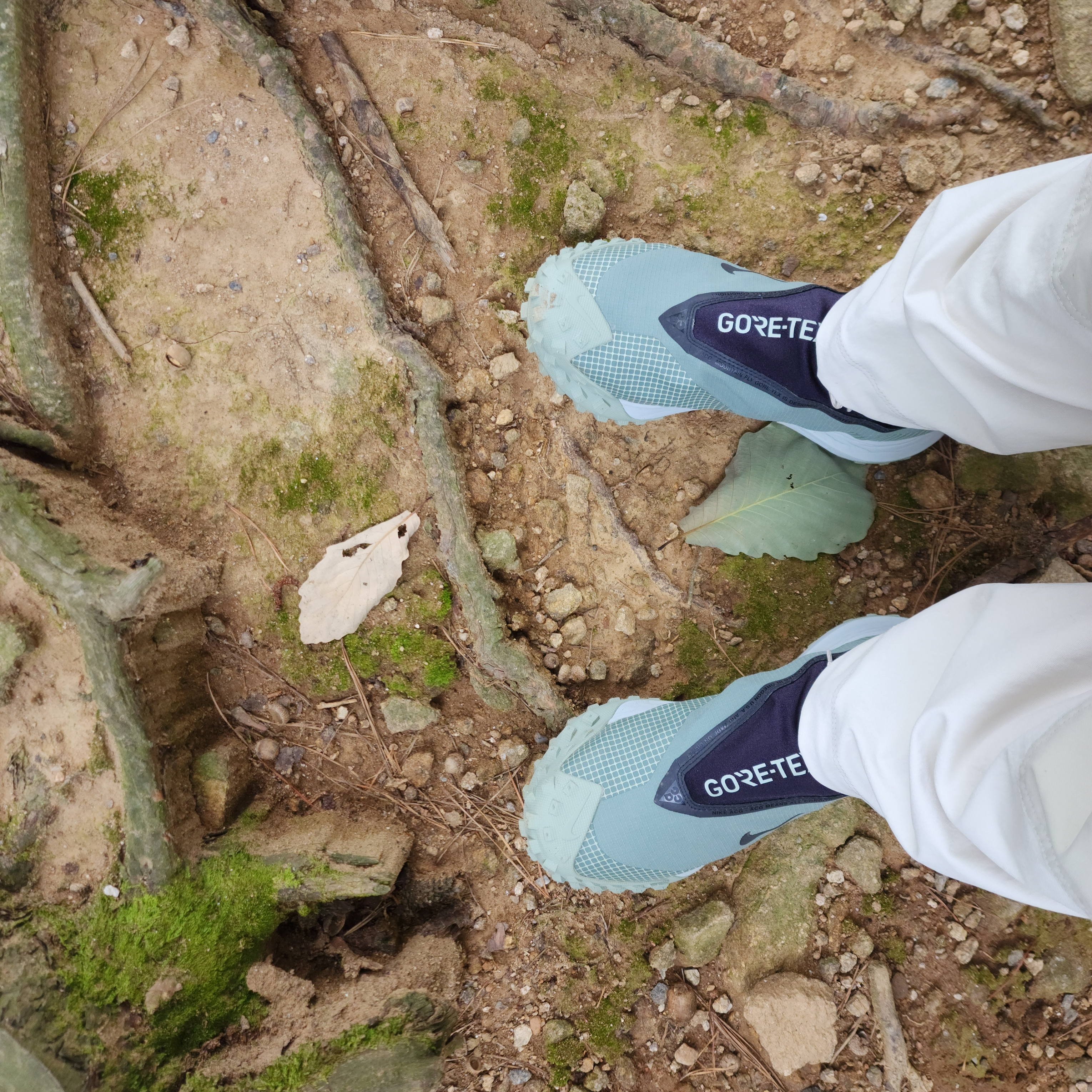 Nike ACG Smith Summit Cargo Pants Light Bone - Asia, Nike ACG Mountain Fly Gore-Tex Clay Green 착용 스타일