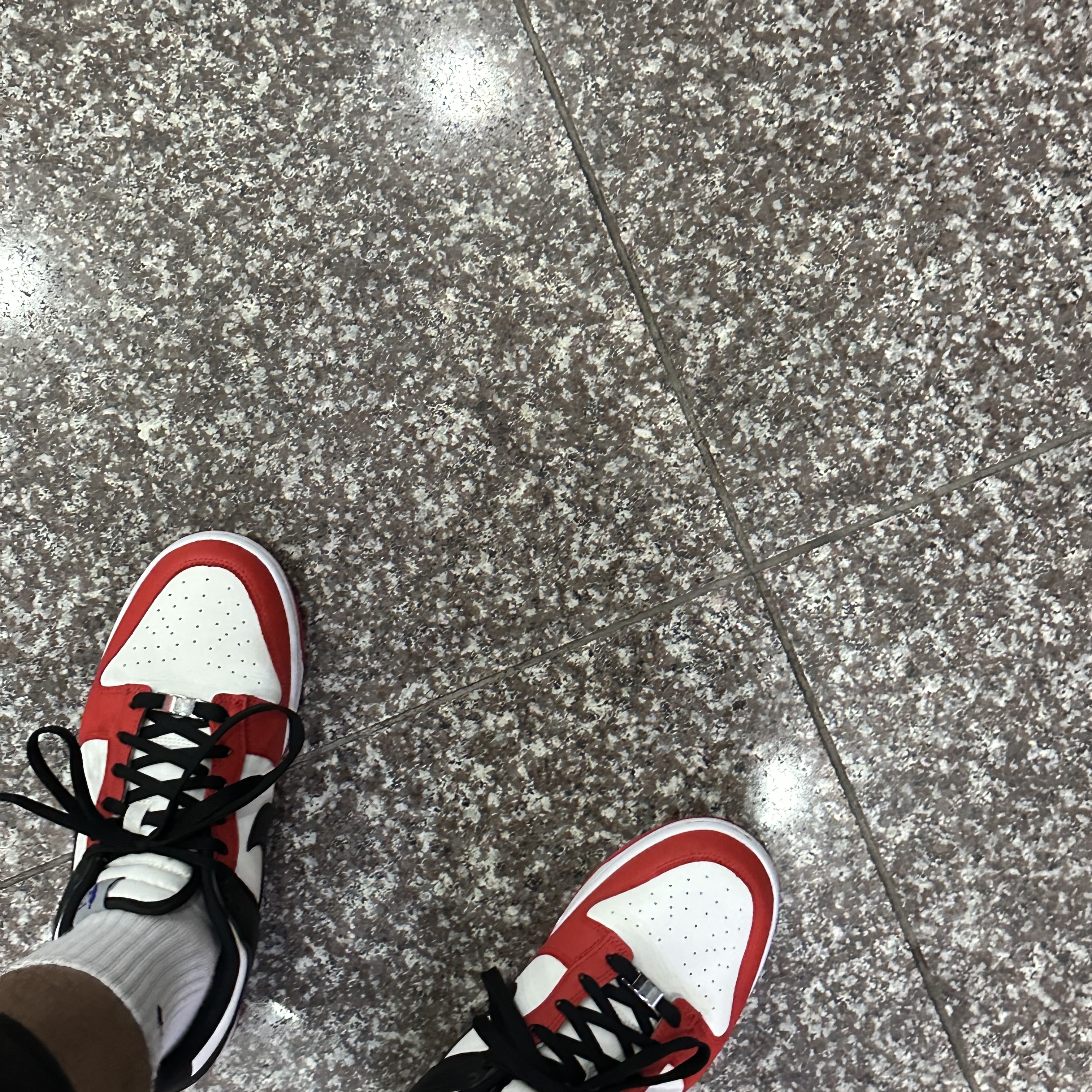 Nike x NBA Dunk Low Retro EMB Black and Chile Red 착용 스타일