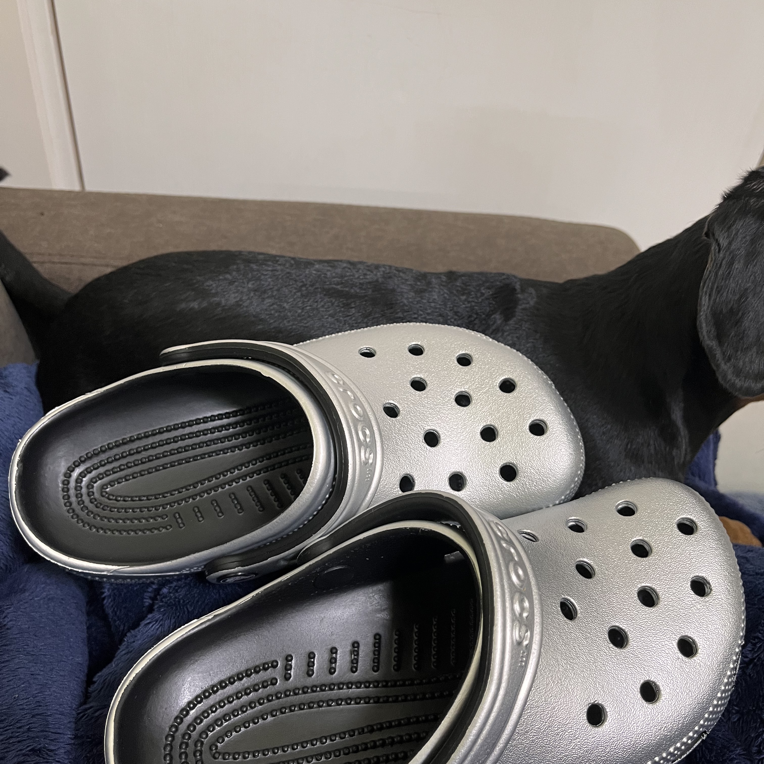 Crocs Classic Metallic Clog Silver 착용 스타일 - 1