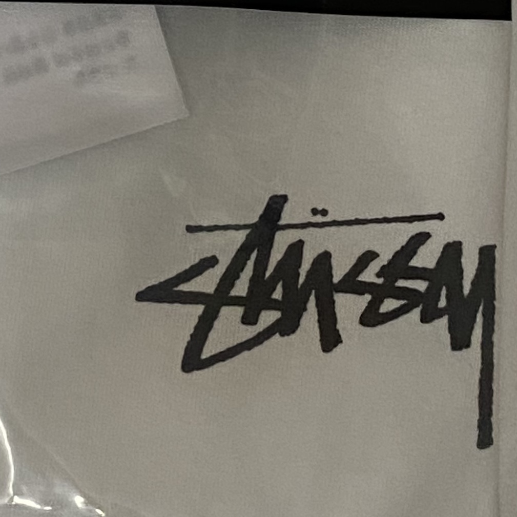 Stussy Basic Stussy T-Shirt White 2023 착용 스타일