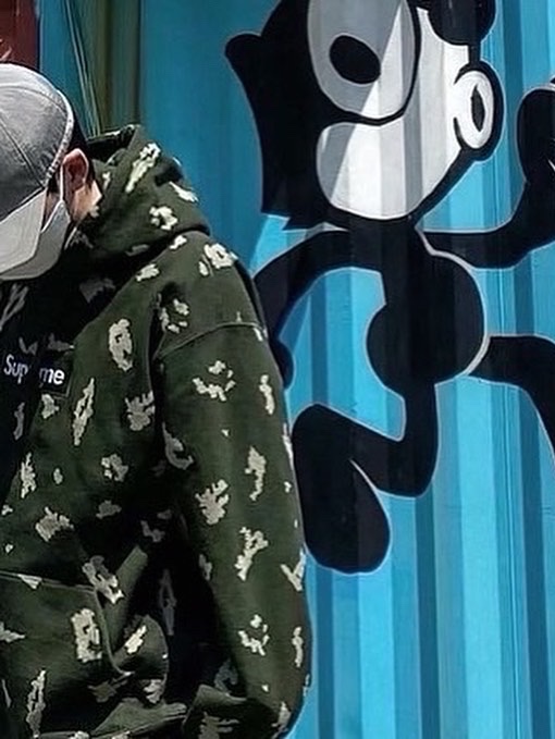 Supreme Box Logo Hooded Sweatshirt Olive Russian Camo - 21FW, Stone Island 99576 Nylon Metal 6-Panel Cap Aqua - 22FW 착용 스타일 - 1