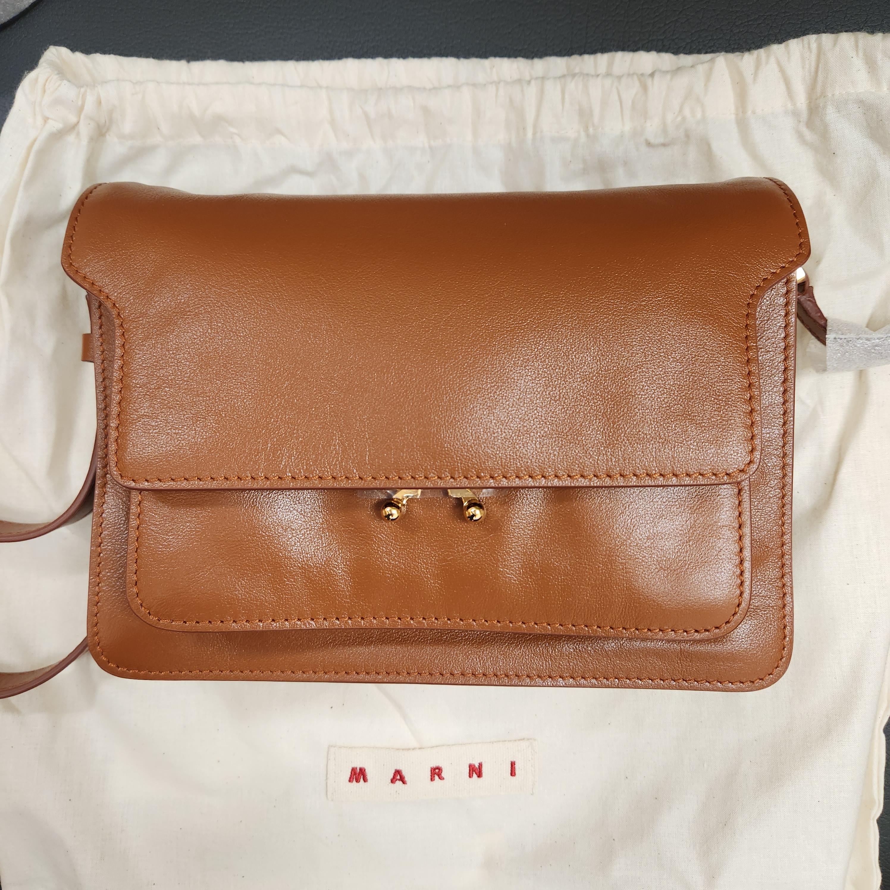 Marni Trunk Soft Medium Bag in Leather Moca 착용 스타일