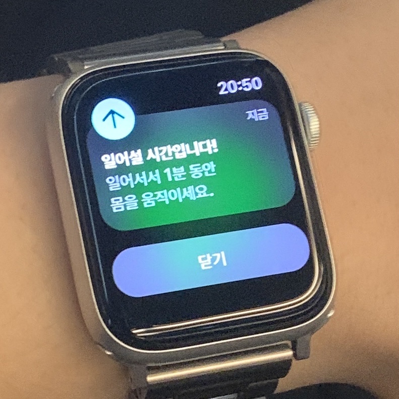 Apple Watch SE 44mm GPS Silver Aluminum Case with Sport Band White (Korean Ver.) 착용 스타일 - 1