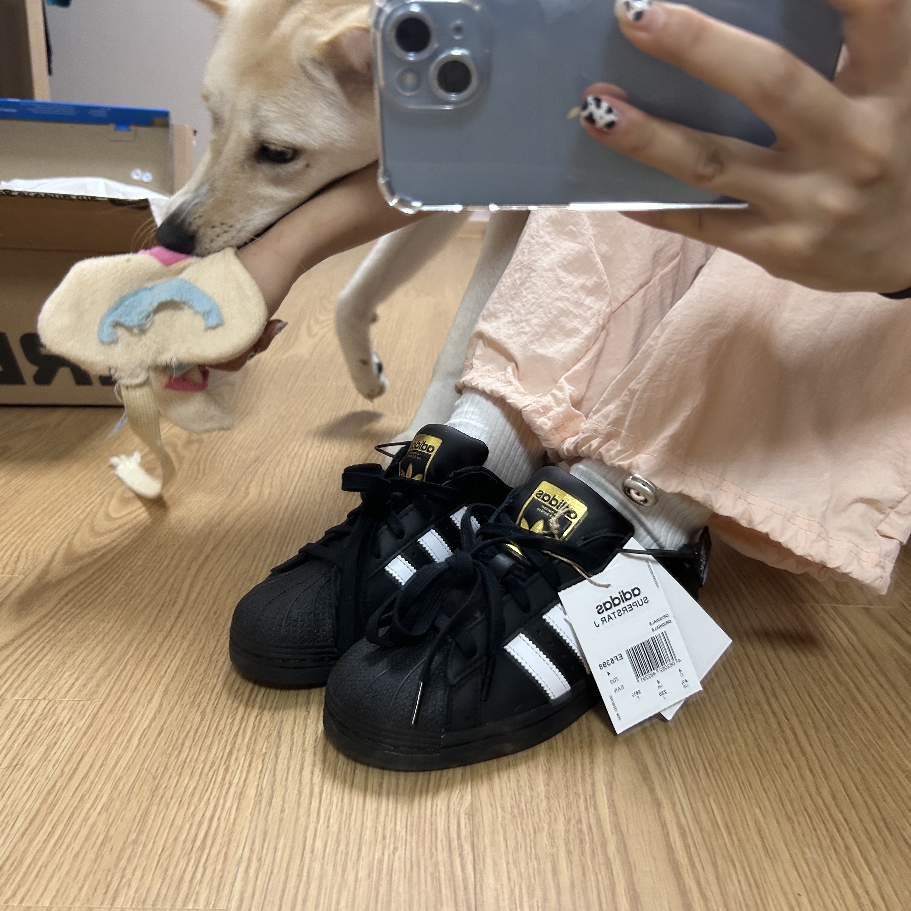 (J) Adidas Superstar Black White 착용 스타일