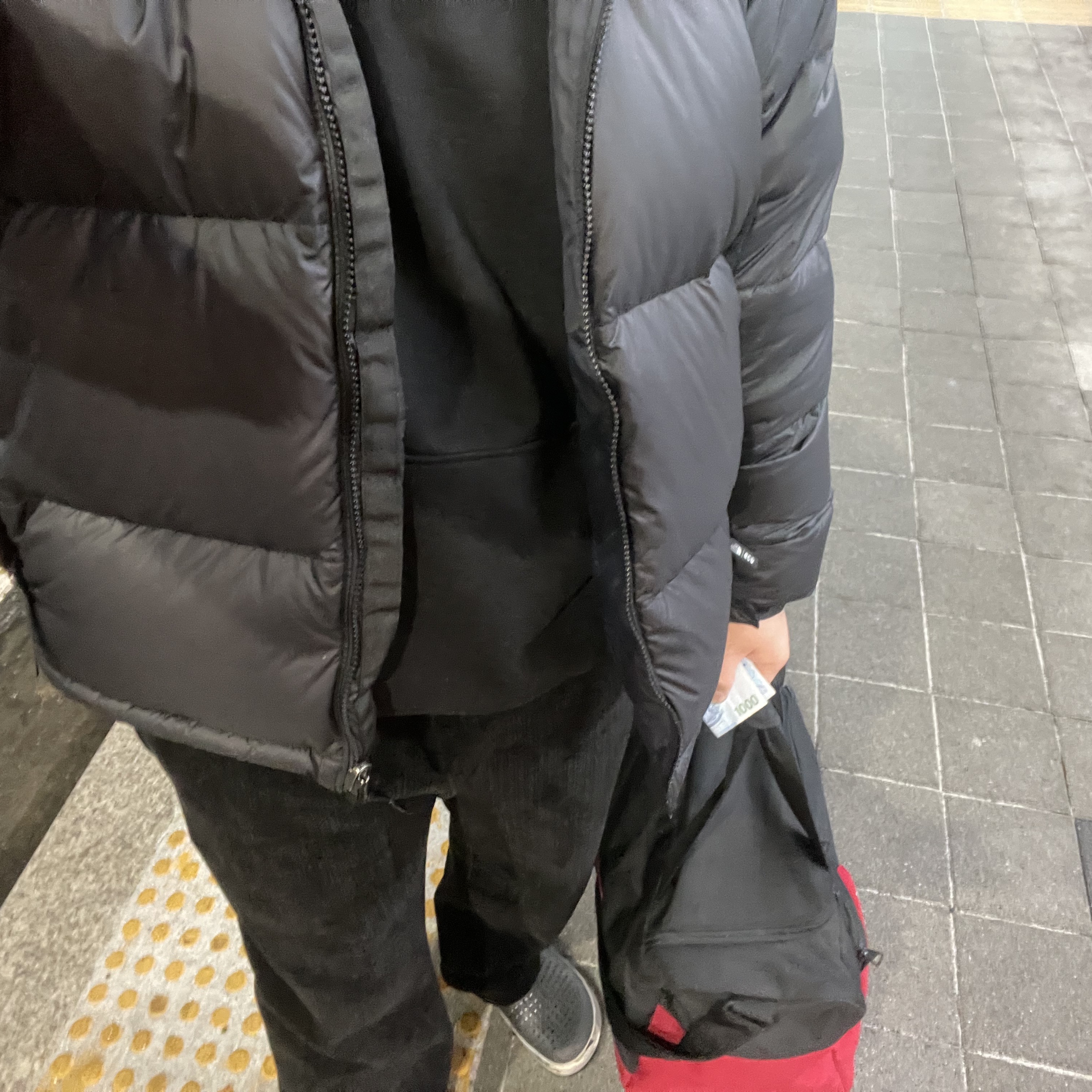 The North Face Nuptse Hybrid Down Ball Jacket Black 착용 스타일 - 1