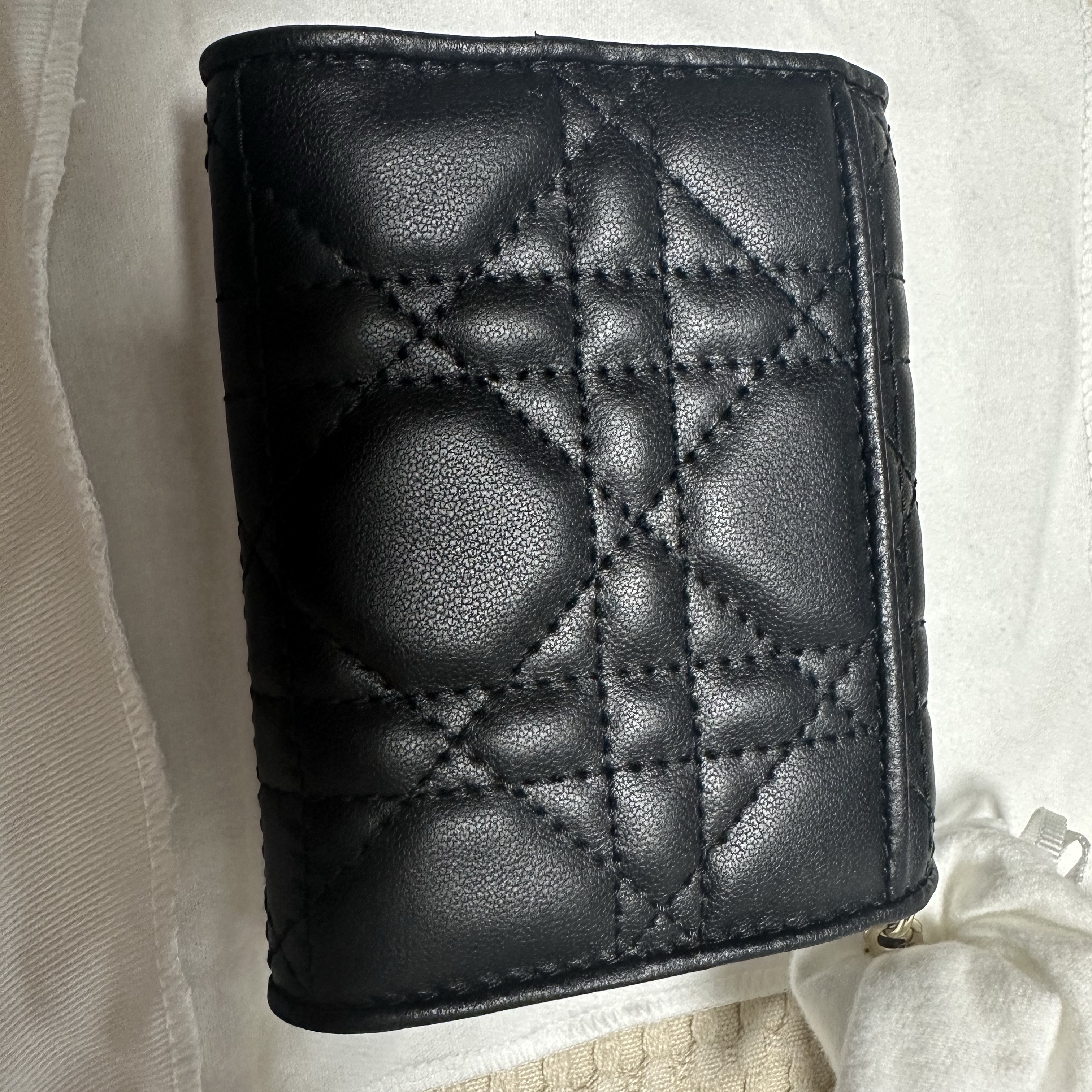 Dior Lady Lotus Wallet Cannage Lambskin Black 착용 스타일 - 4