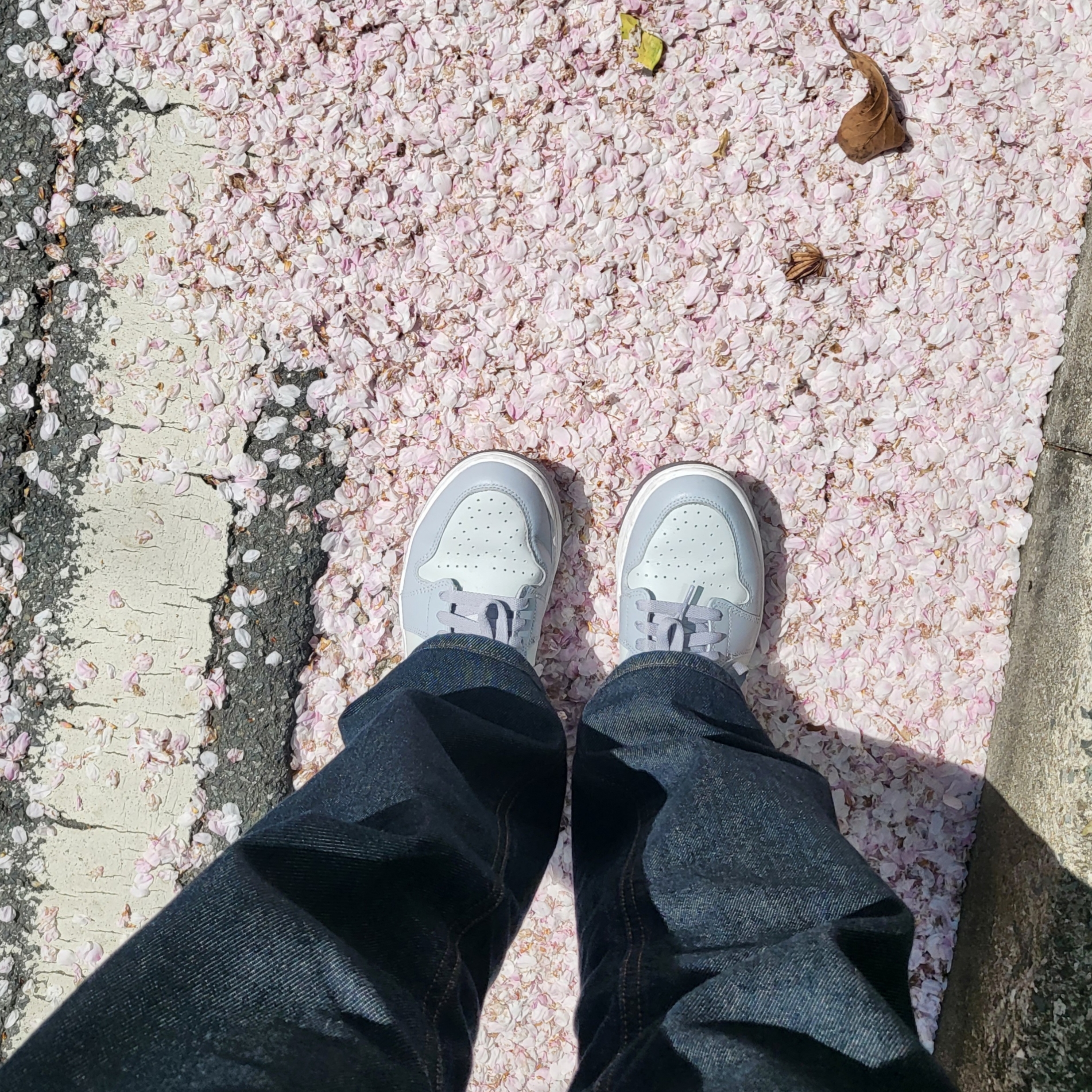Jordan 1 Low Golf Wolf Grey 착용 스타일