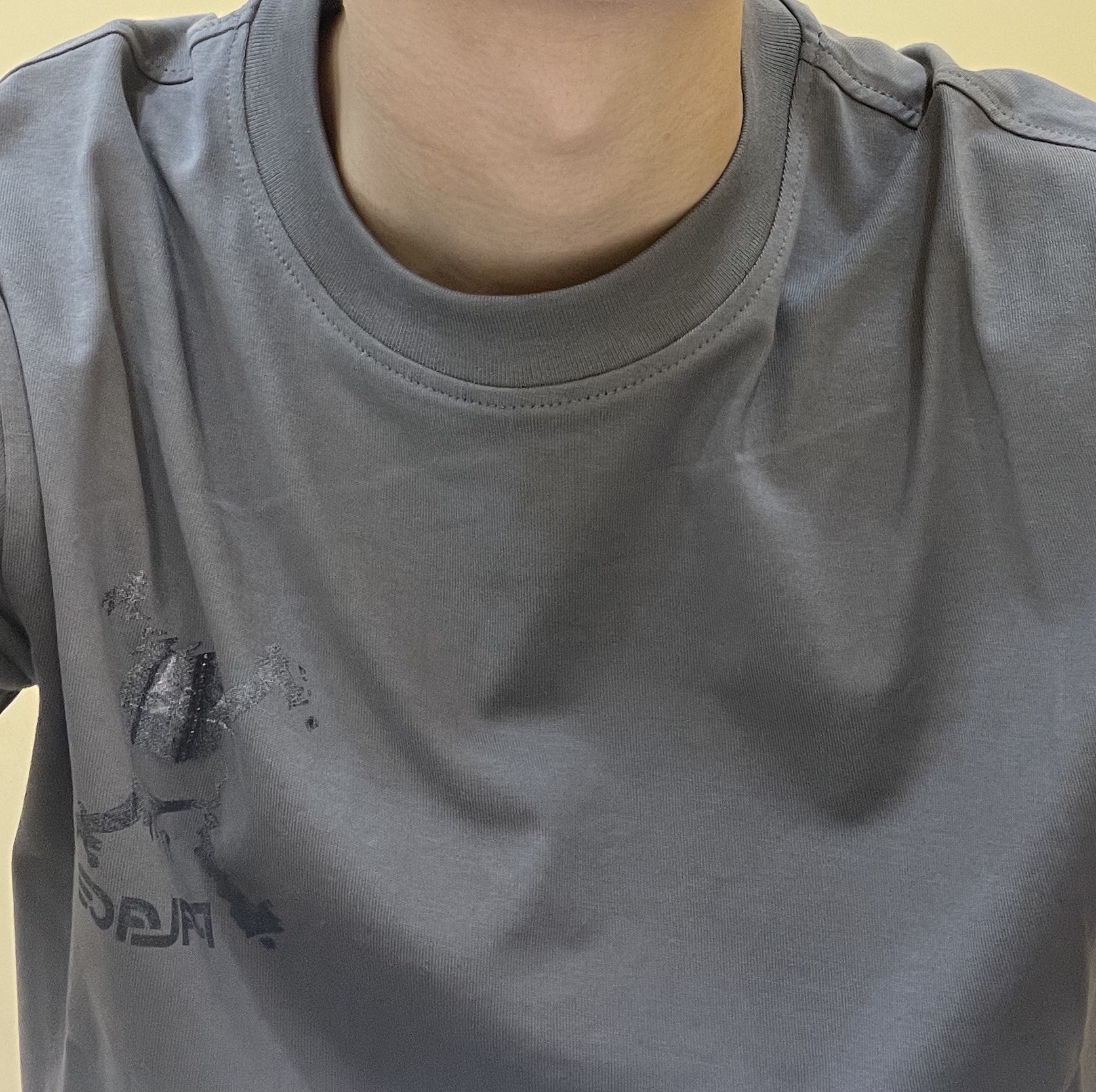 Palace x Oakley T-Shirt Grey - 23SS 착용 스타일