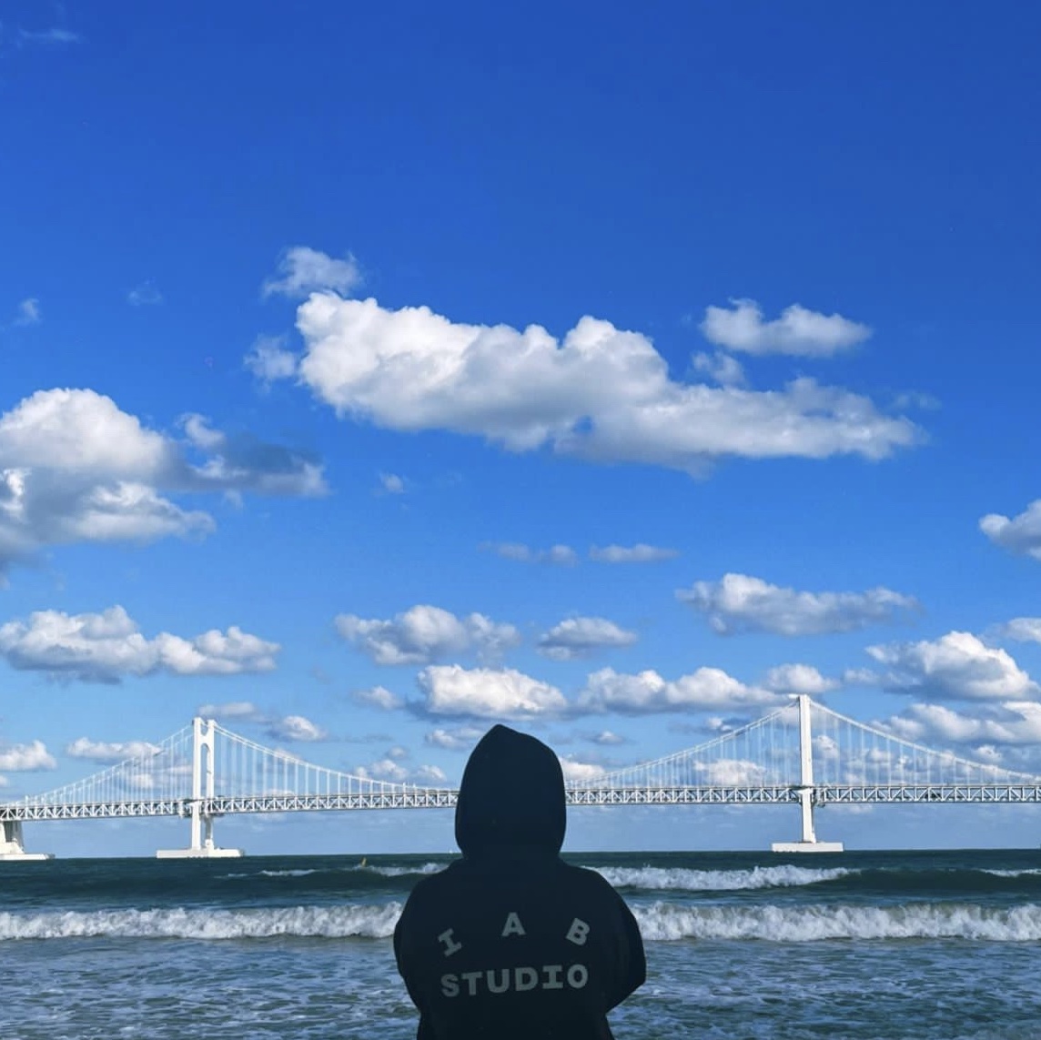 IAB Studio Hoodie Brown 착용 스타일