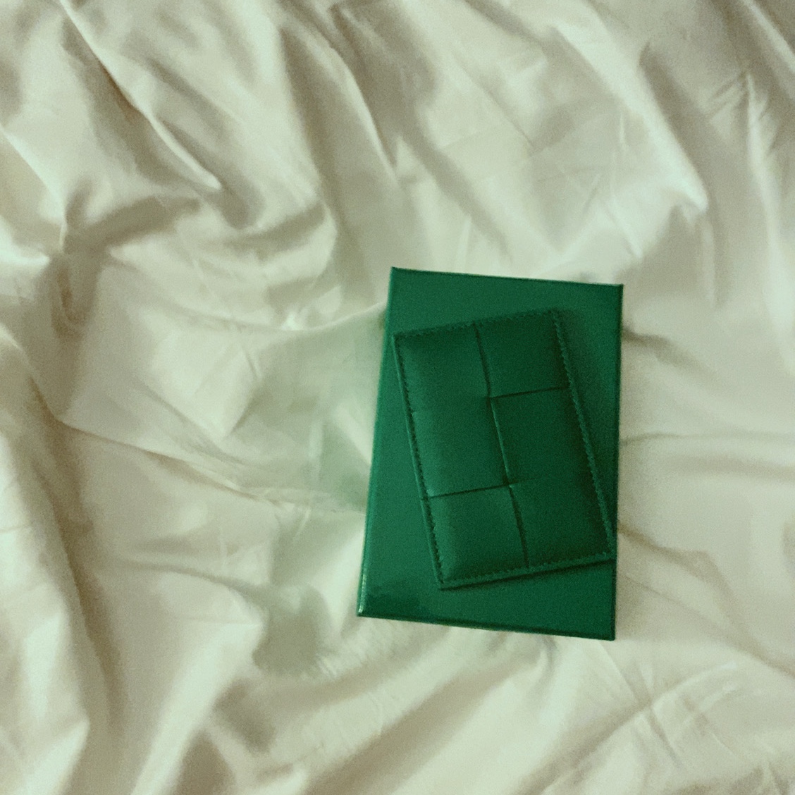 Bottega Veneta Credit Card Case Calfskin Parakeet 착용 스타일