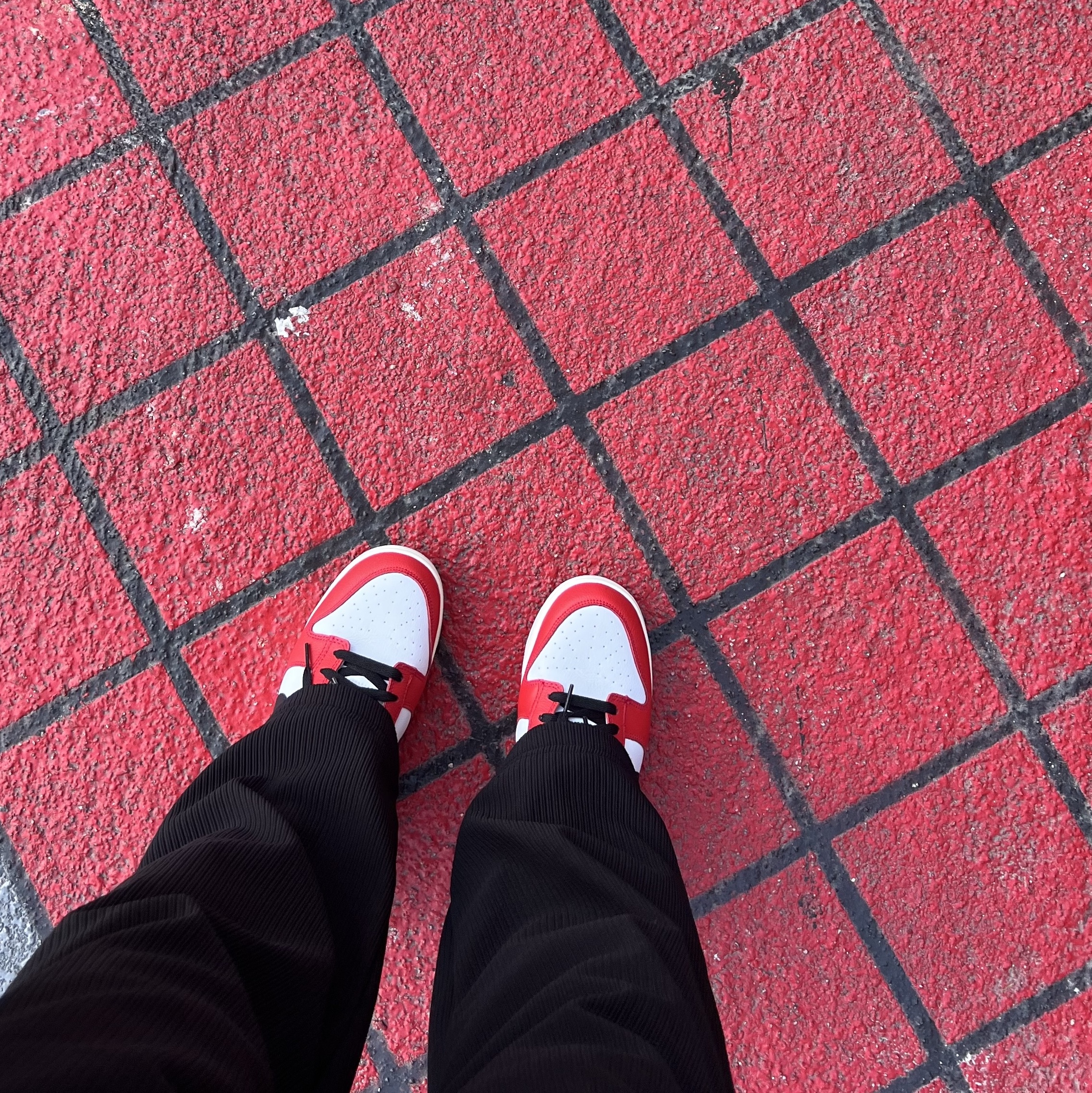 Nike Dunk Low Retro PRM University Red Black 착용 스타일 - 1