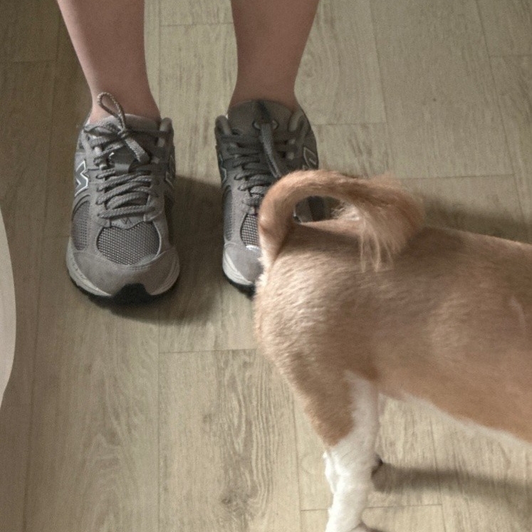 New Balance 2002R Grey 착용 스타일